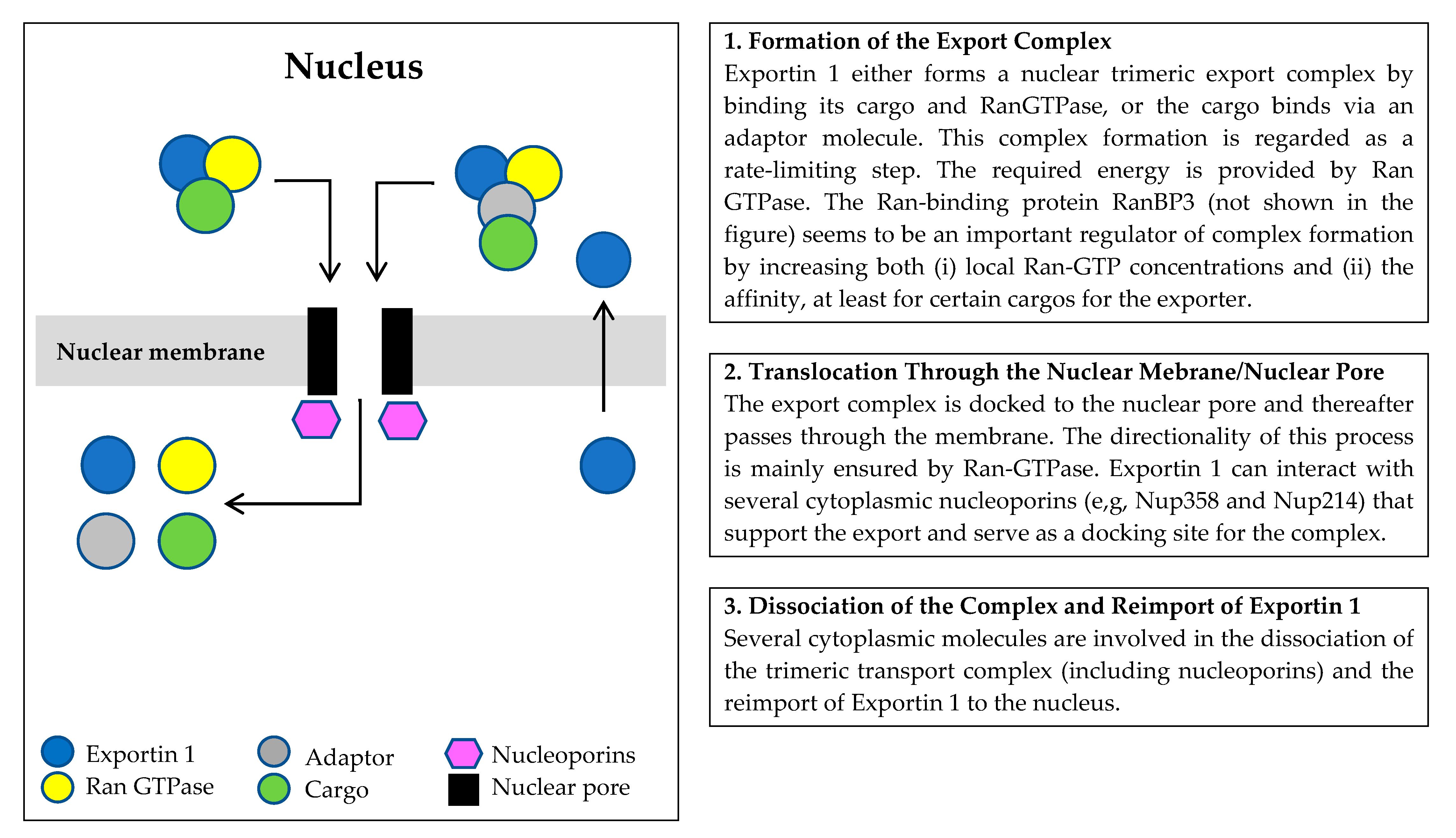 Biomolecules 15 00175 g001