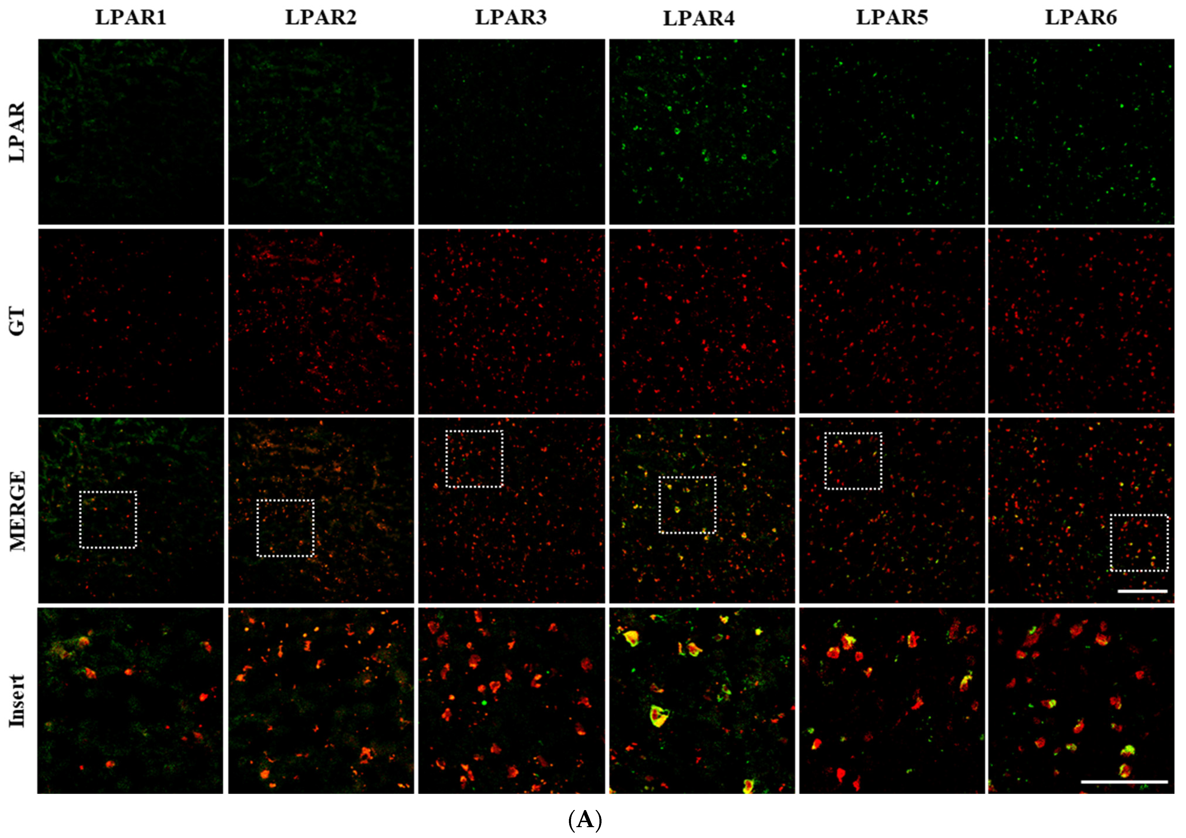 Biomolecules 15 00179 g002a