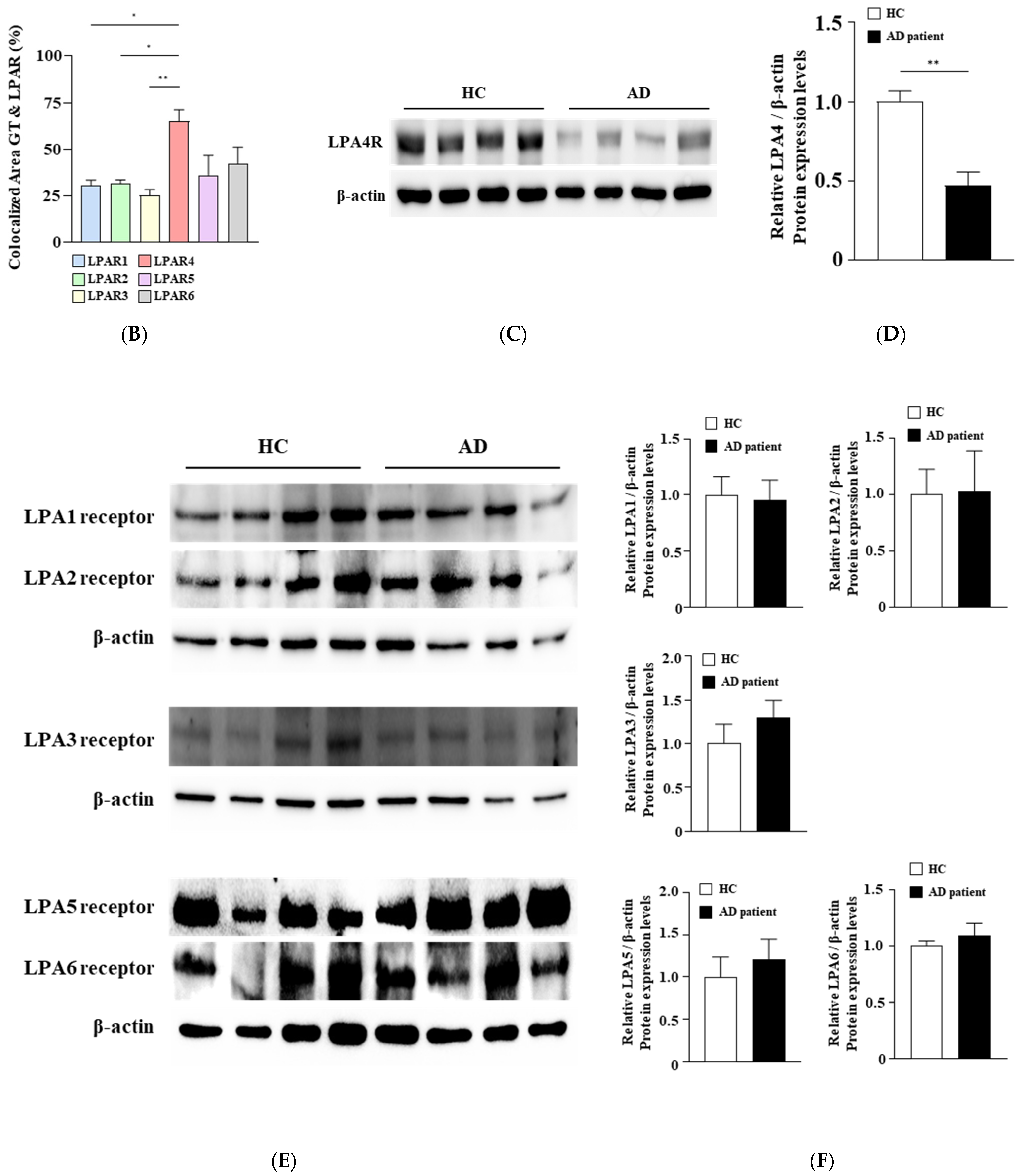 Biomolecules 15 00179 g002b