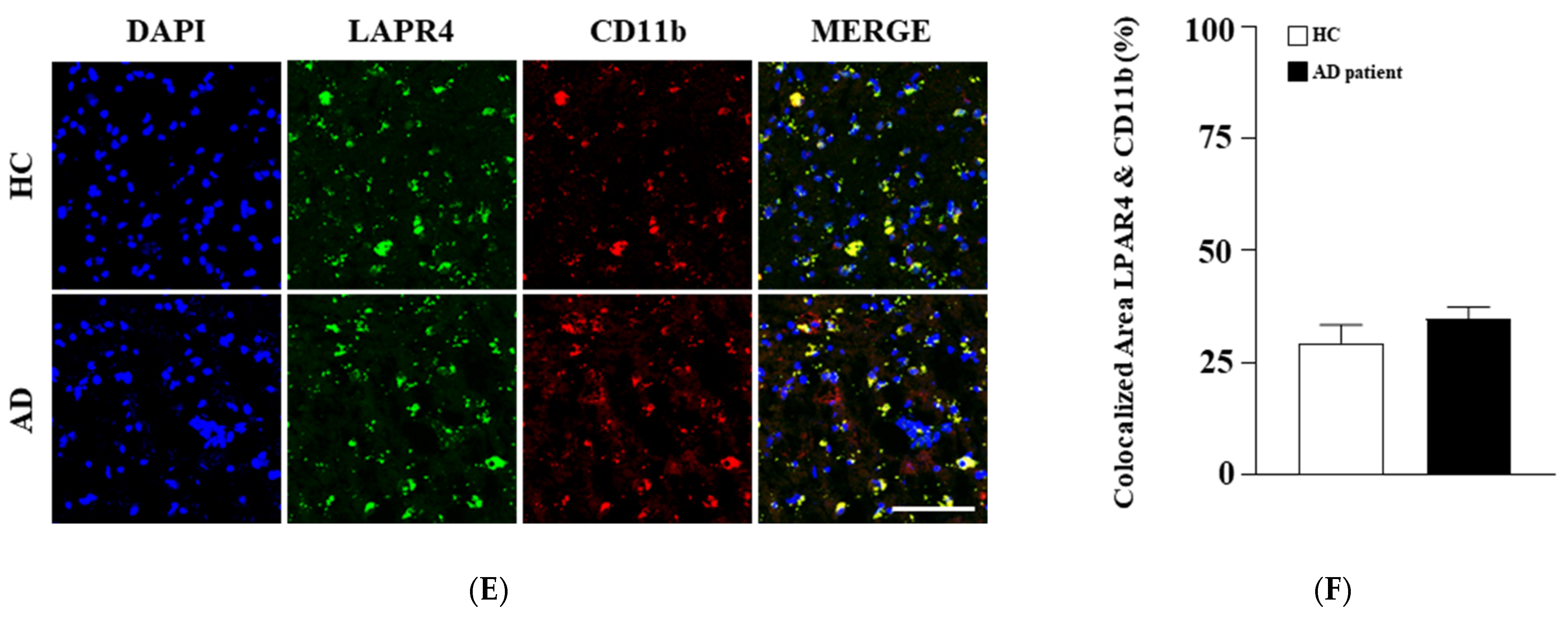 Biomolecules 15 00179 g003b