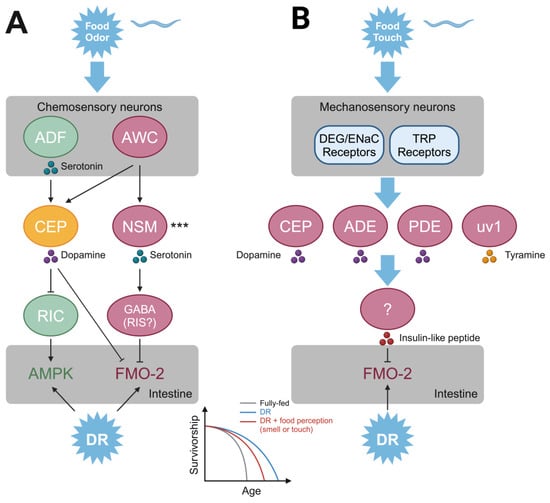 Biomolecules 15 00187 g001