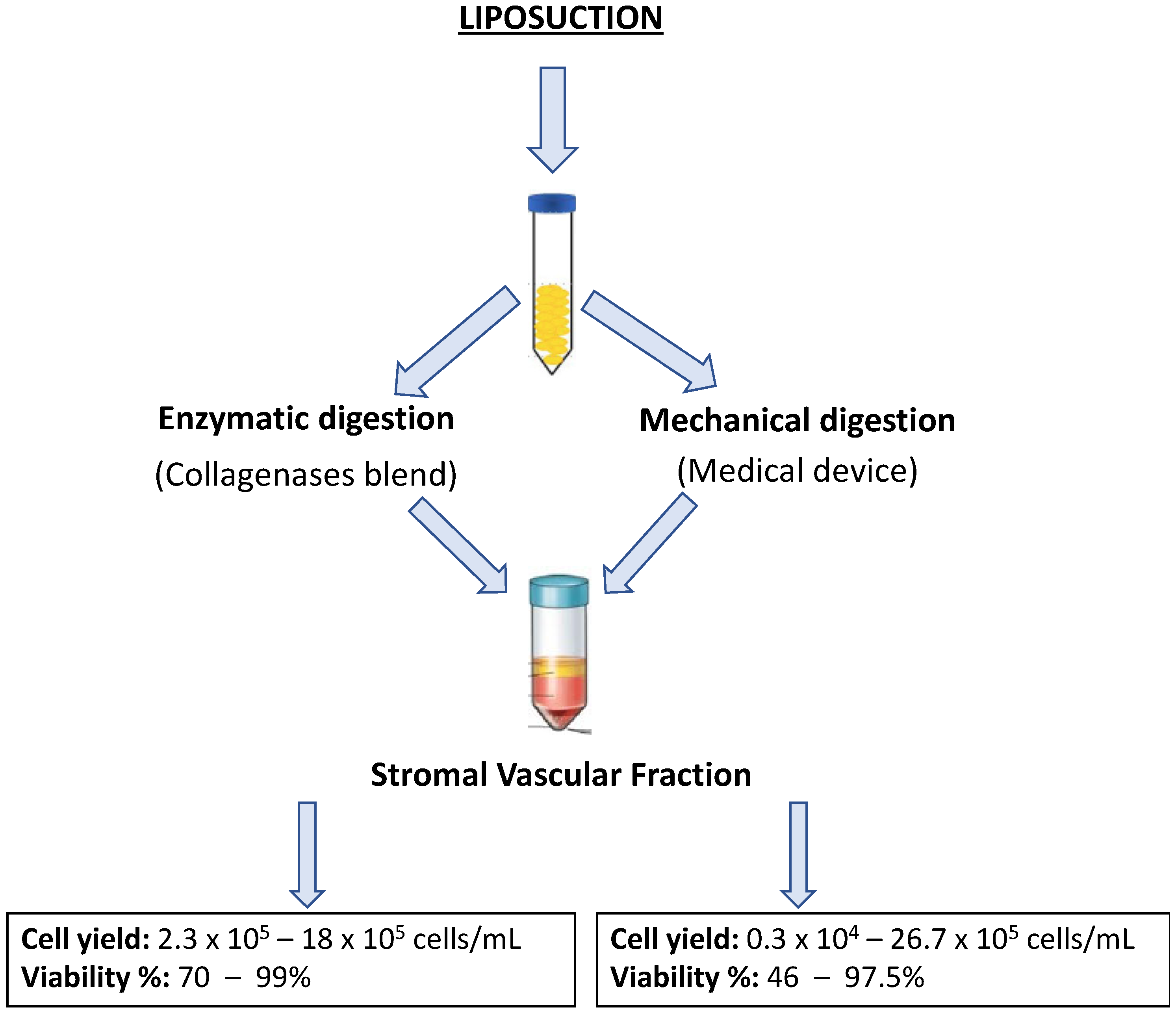 Biomolecules 15 00199 g003