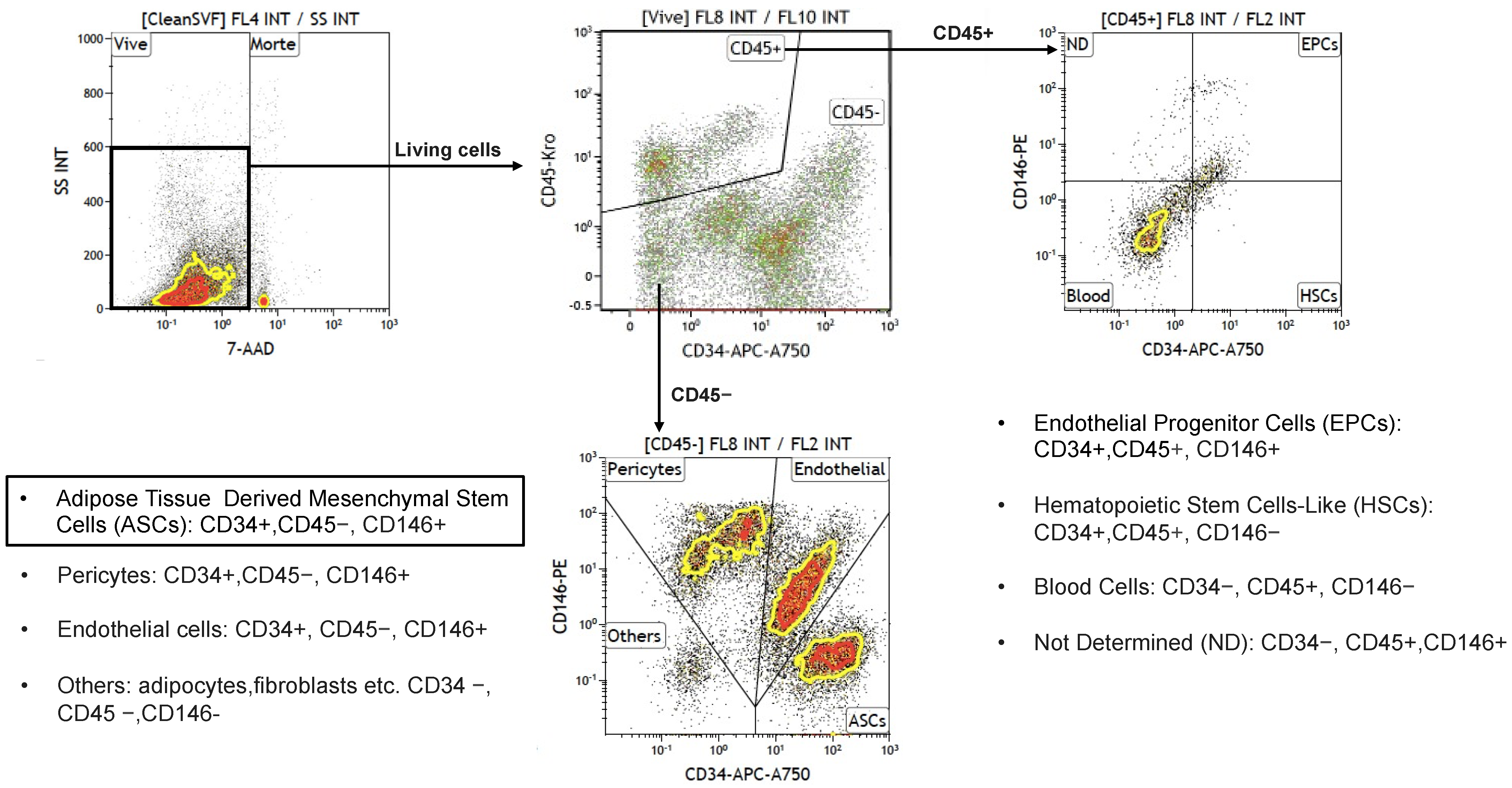 Biomolecules 15 00199 g004