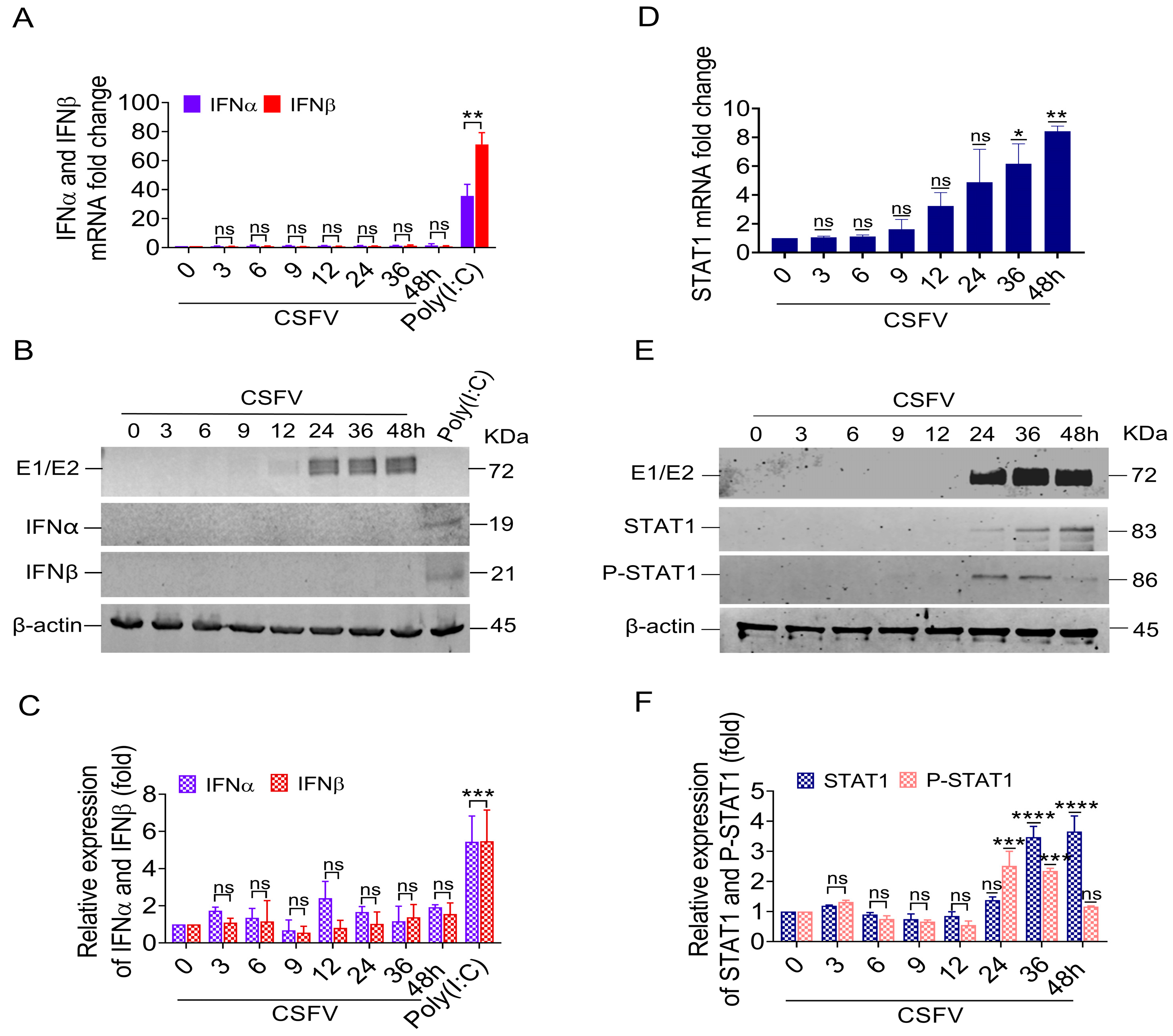 Biomolecules 15 00200 g001 Biomolecules 15 00200 g001