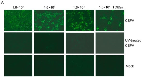 Biomolecules 15 00200 g002a Biomolecules 15 00200 g002a