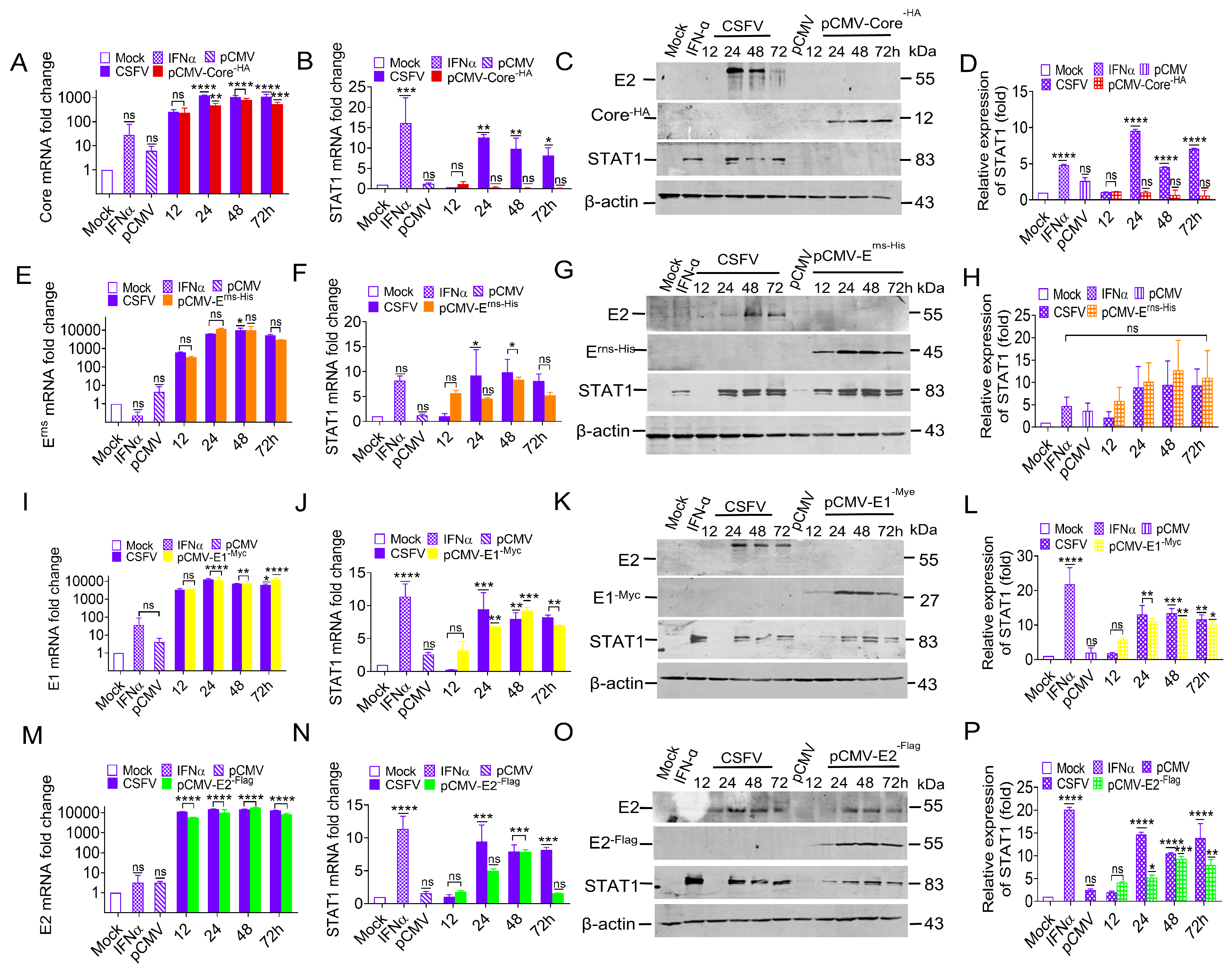 Biomolecules 15 00200 g003 Biomolecules 15 00200 g003