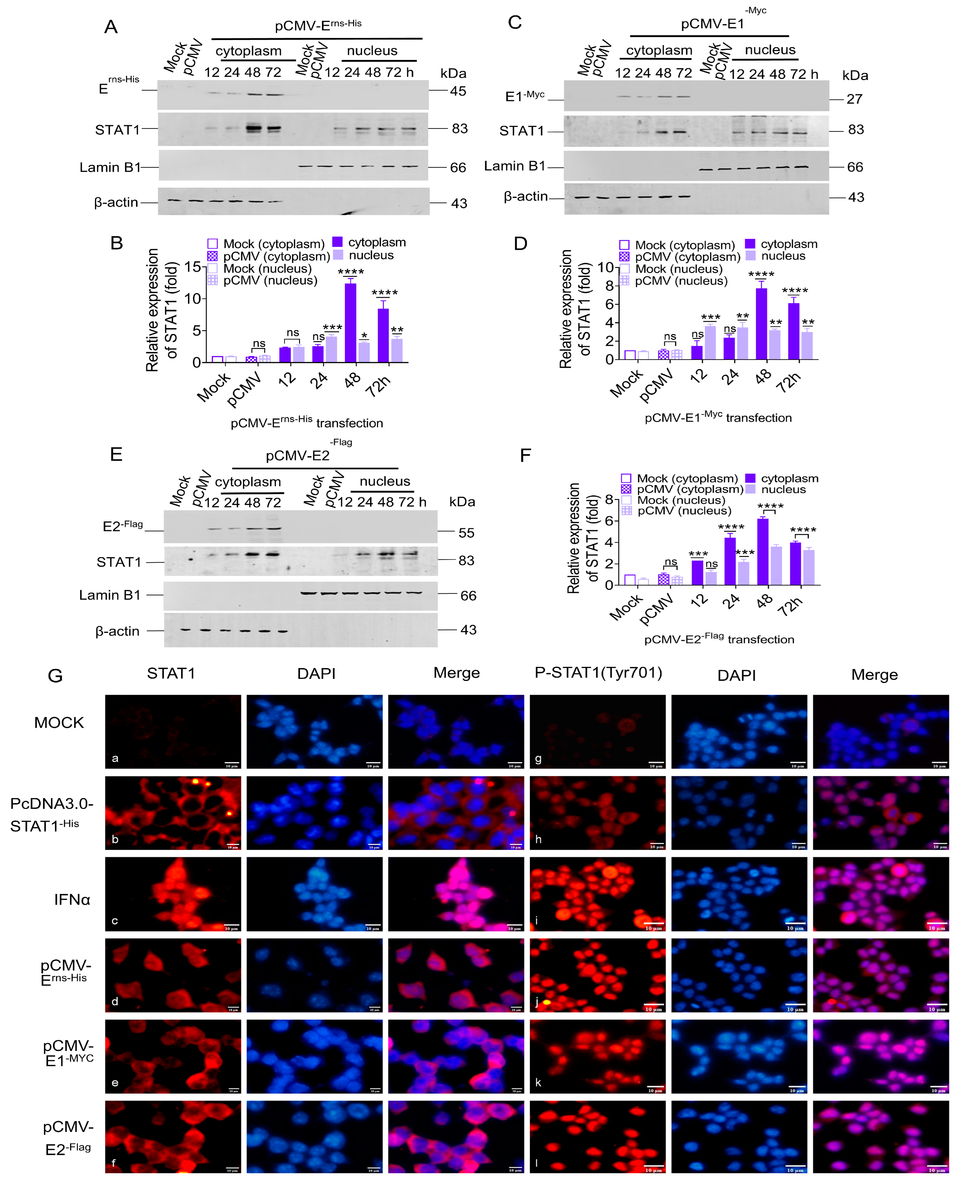 Biomolecules 15 00200 g004 Biomolecules 15 00200 g004