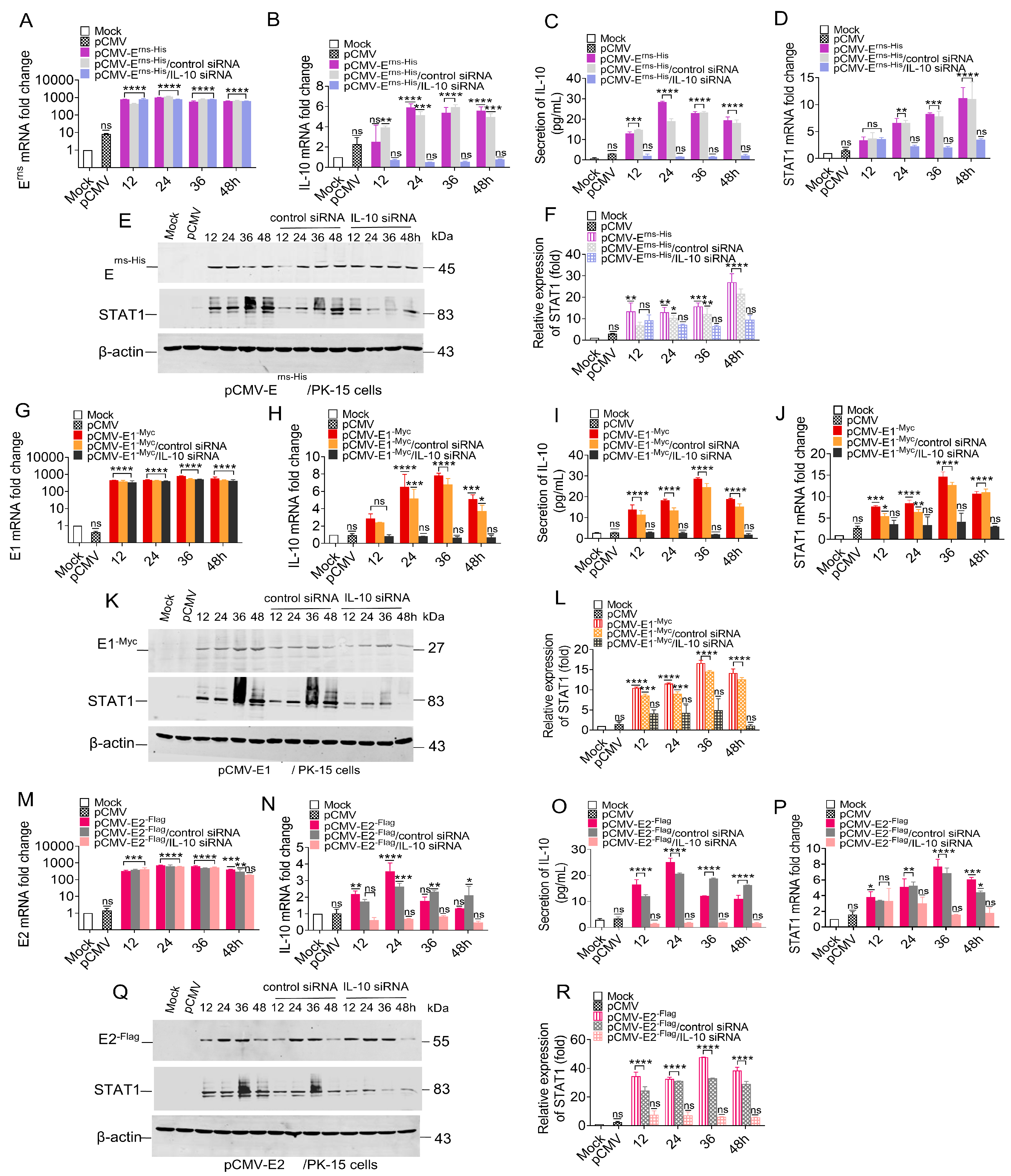 Biomolecules 15 00200 g008 Biomolecules 15 00200 g008