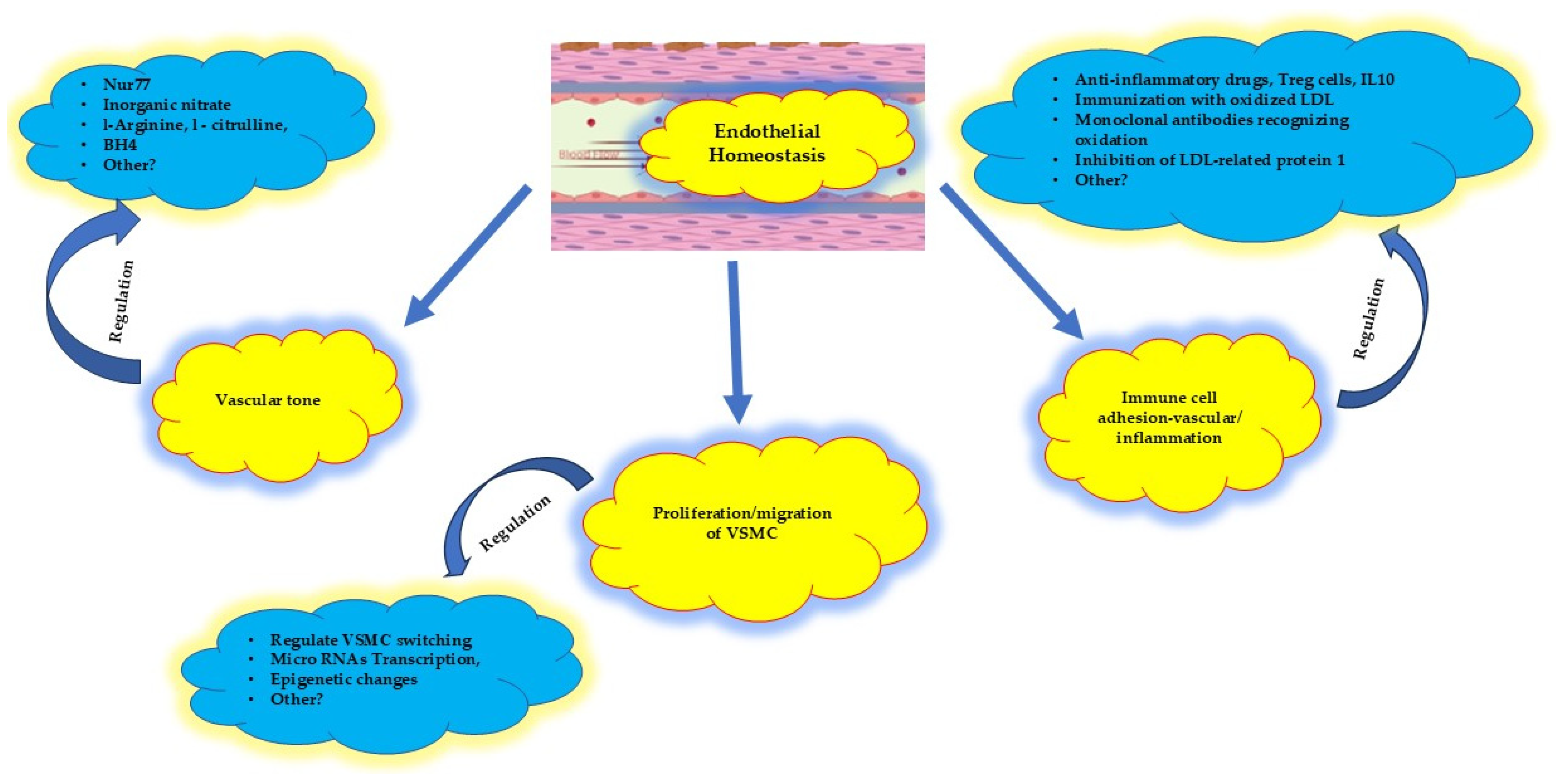 Biomolecules 15 00201 g004
