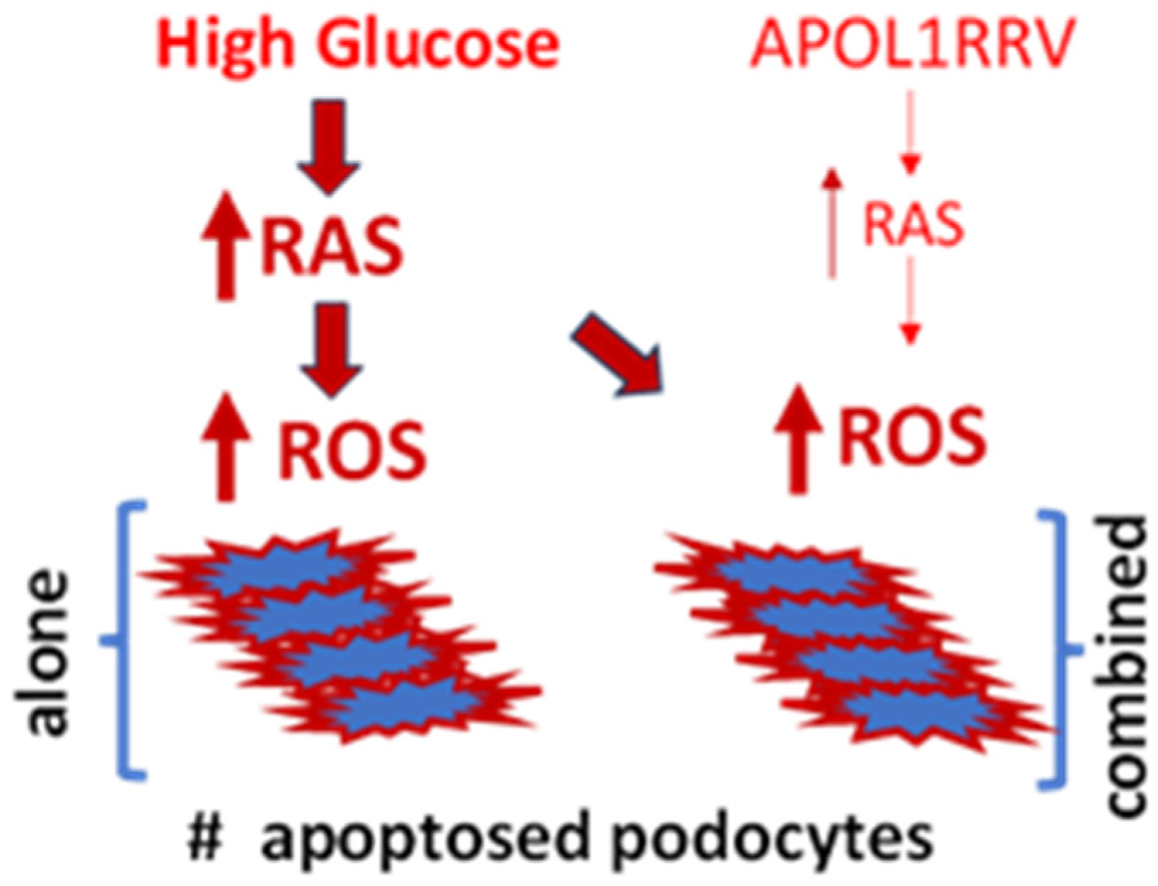 Biomolecules 15 00205 g002