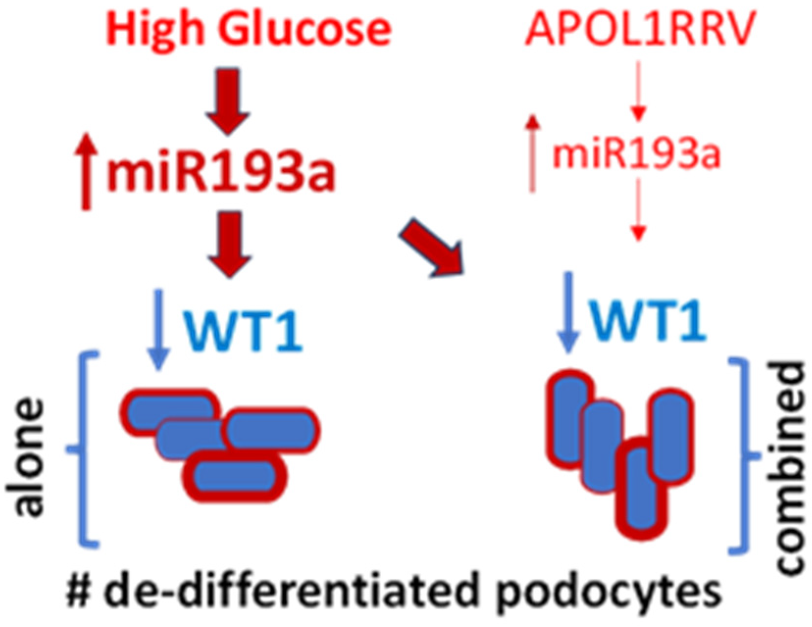 Biomolecules 15 00205 g003