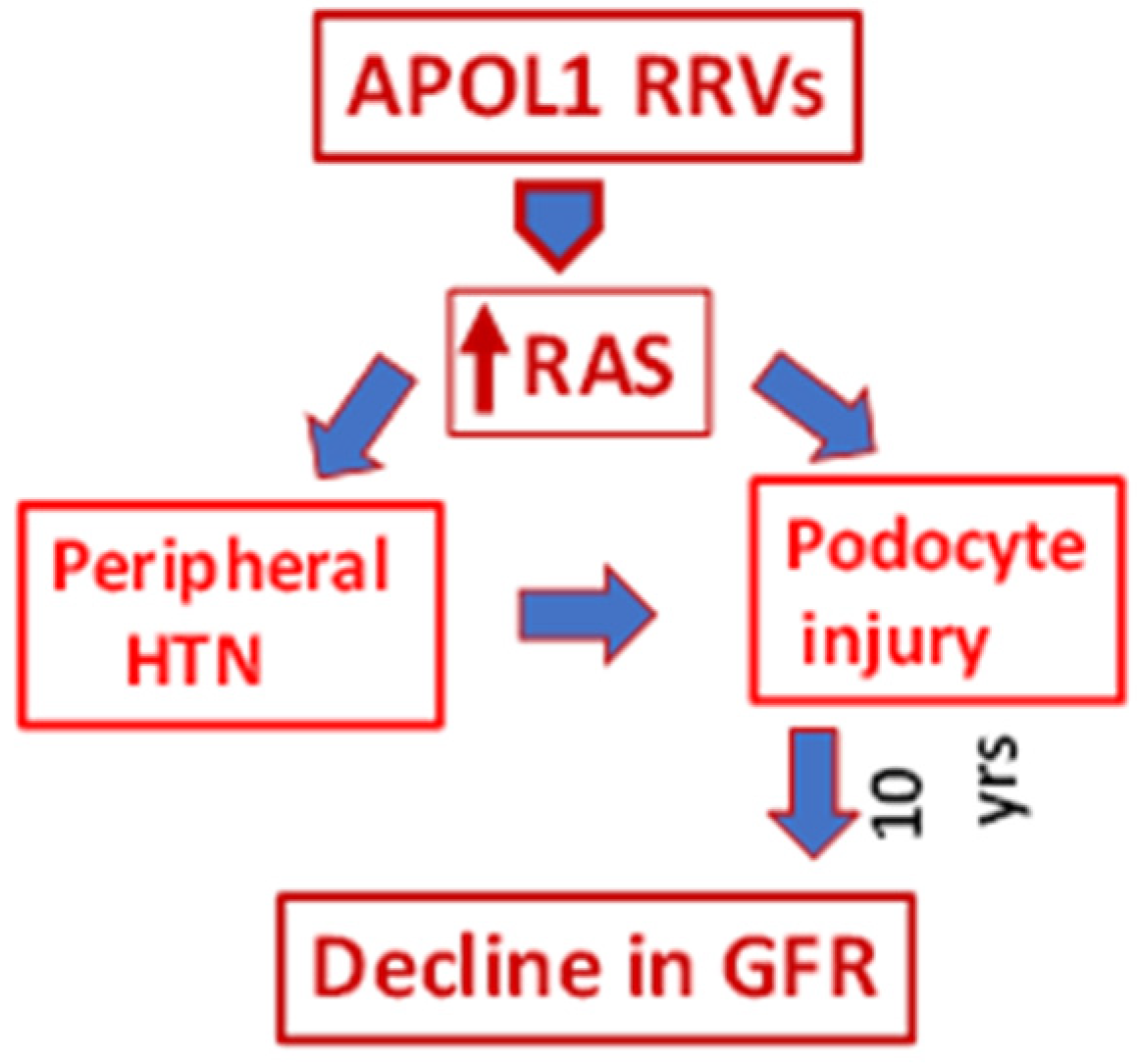 Biomolecules 15 00205 g004