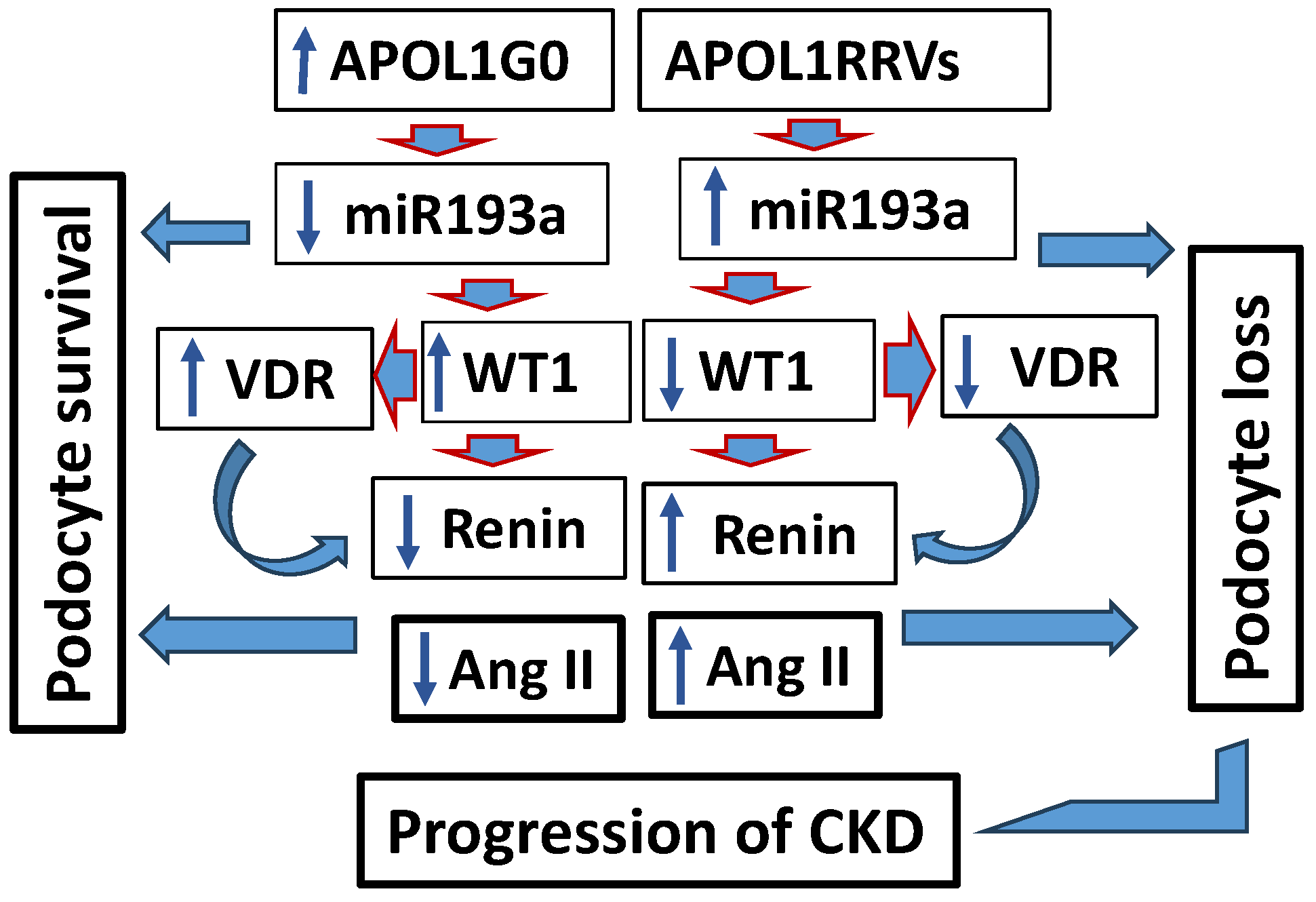 Biomolecules 15 00205 g005