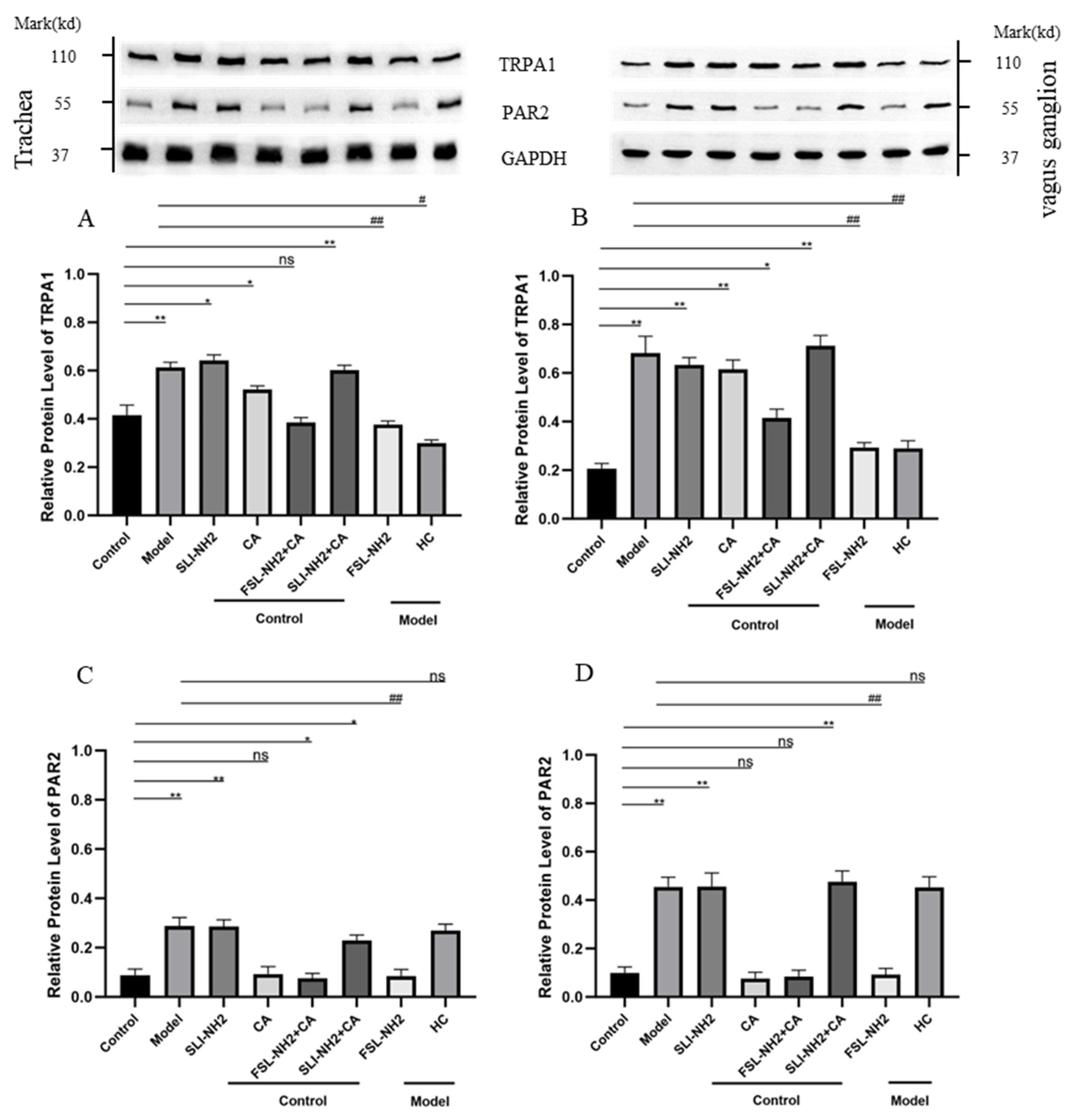 Biomolecules 15 00208 g003 Biomolecules 15 00208 g003