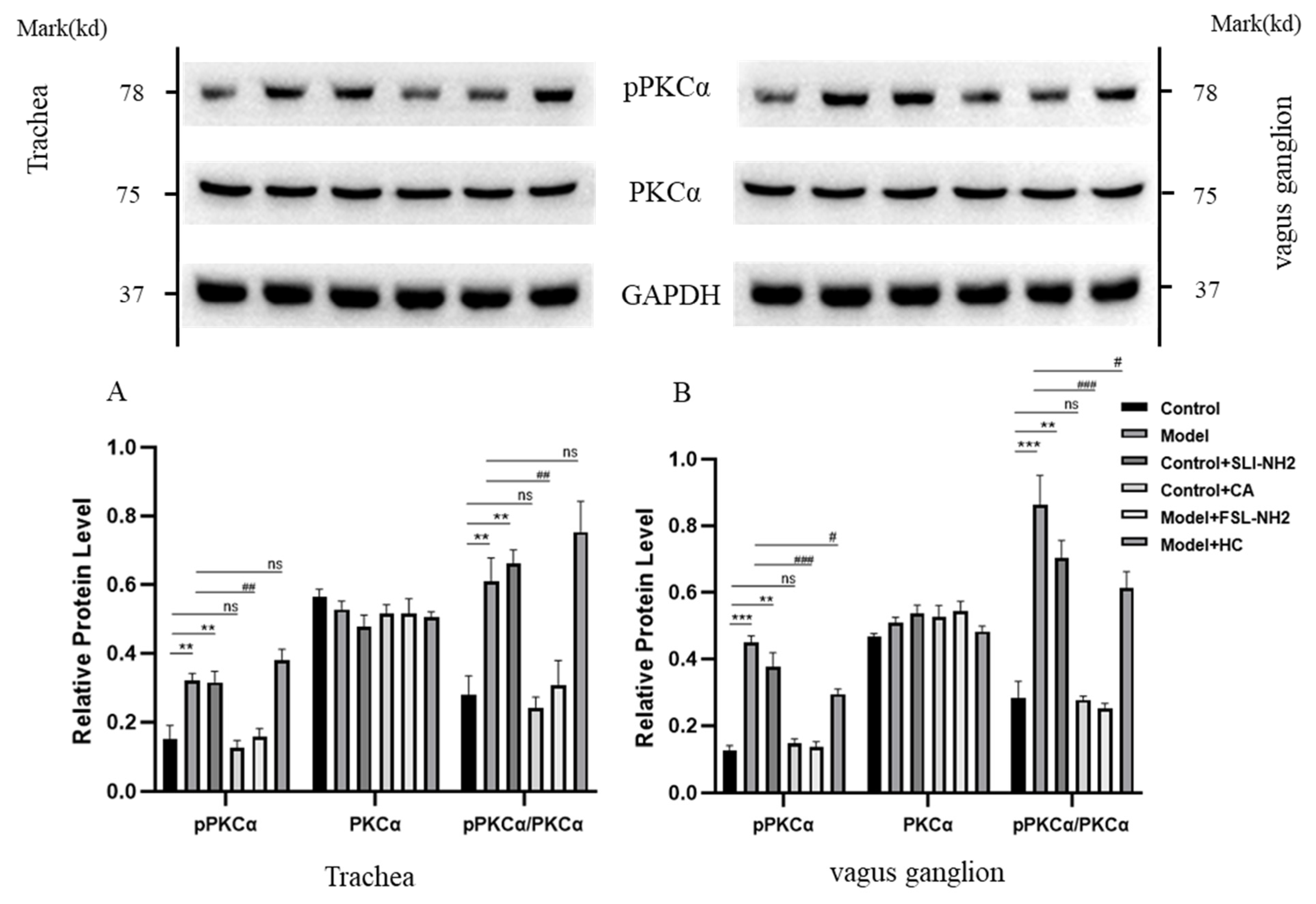 Biomolecules 15 00208 g005 Biomolecules 15 00208 g005