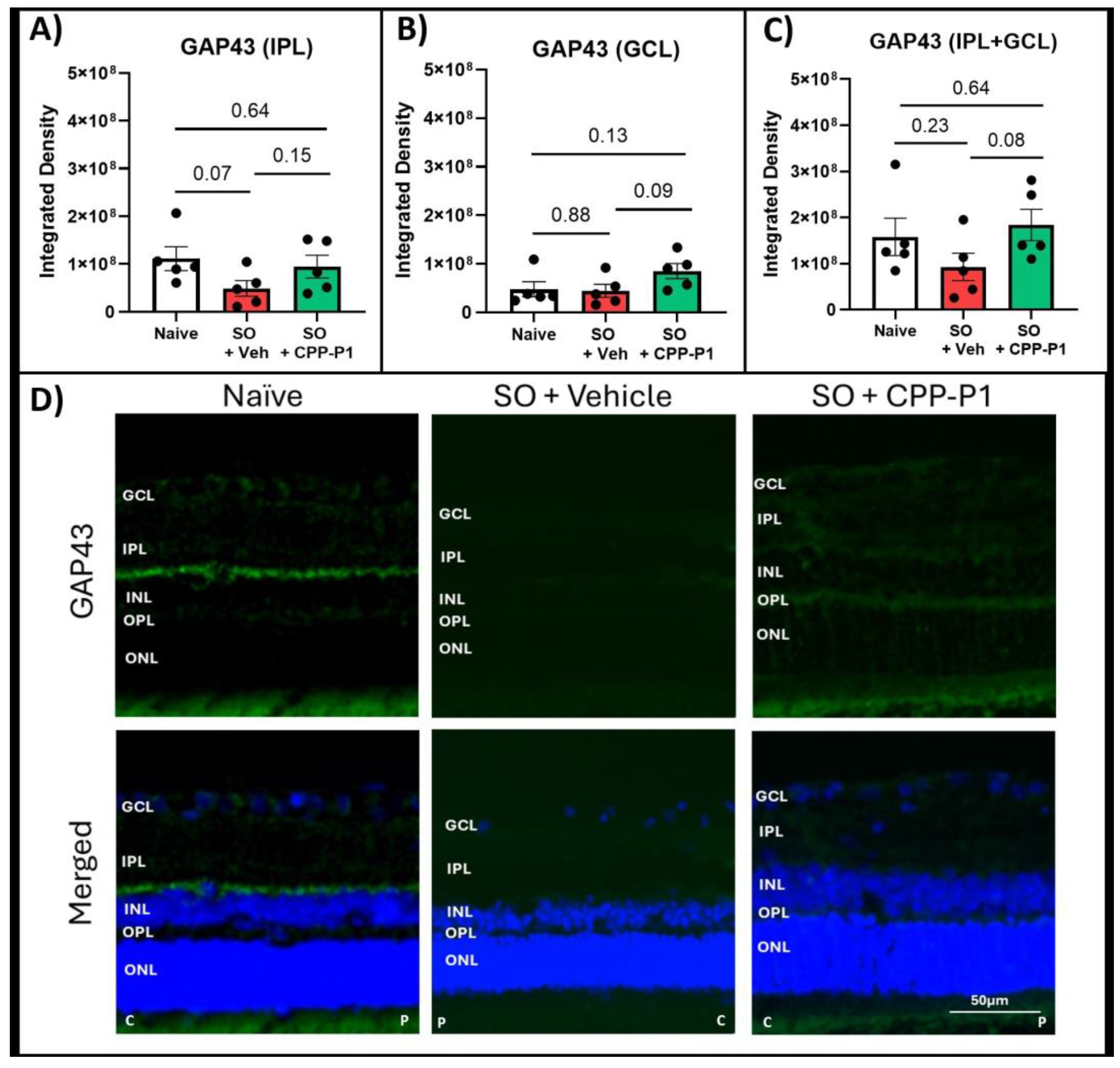 Biomolecules 15 00219 g004