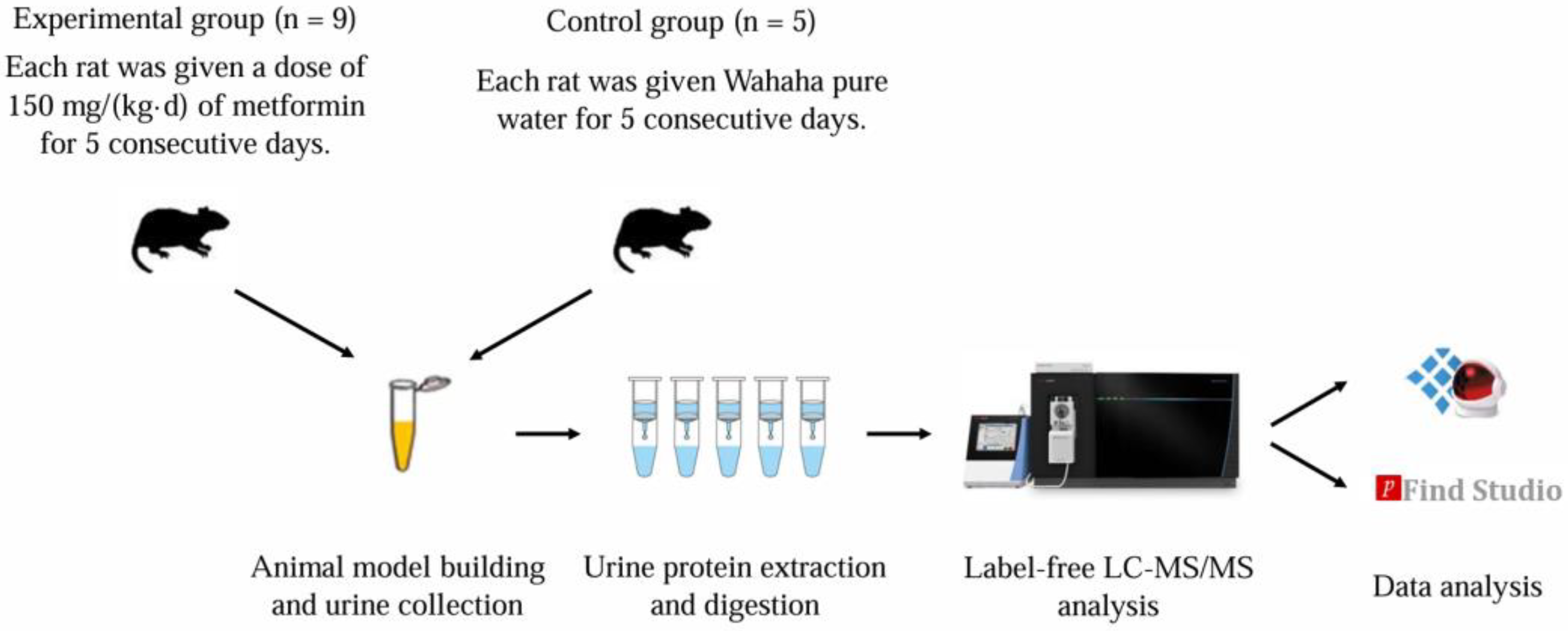 Biomolecules 15 00241 g001 Biomolecules 15 00241 g001