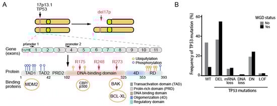 Biomolecules 15 00244 g002