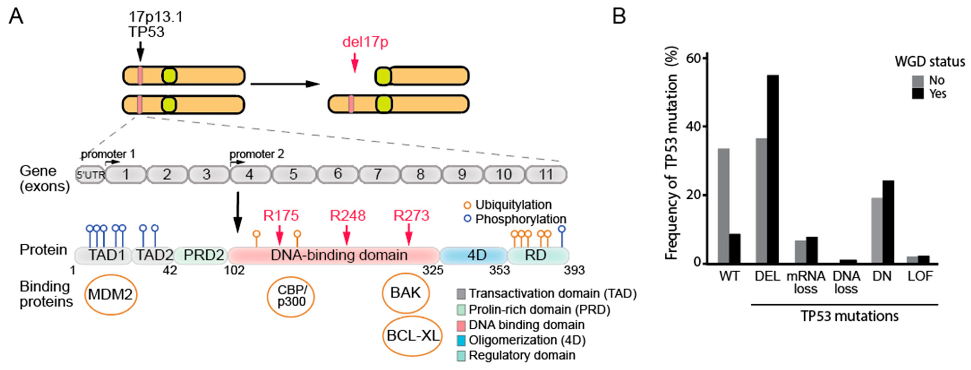 Biomolecules 15 00244 g002 Biomolecules 15 00244 g002