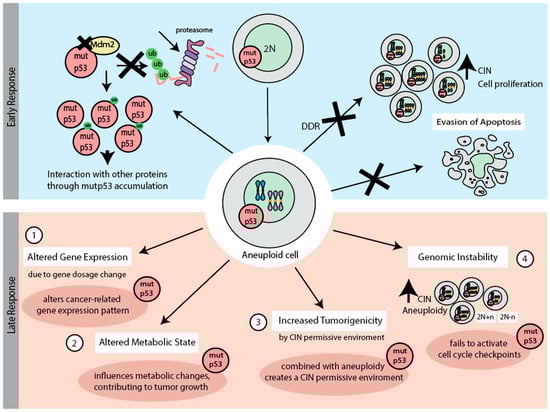 Biomolecules 15 00244 g003