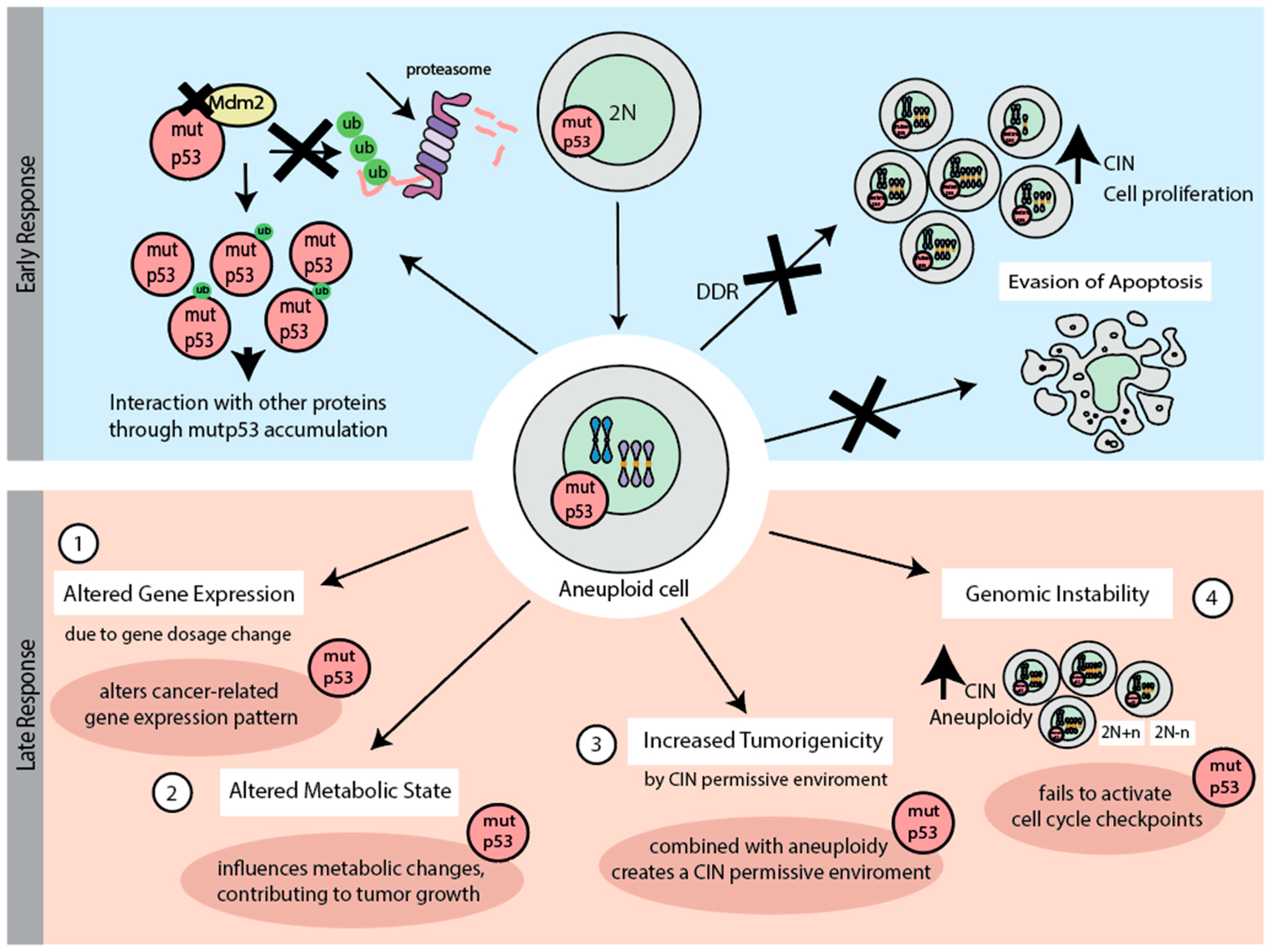 Biomolecules 15 00244 g003 Biomolecules 15 00244 g003
