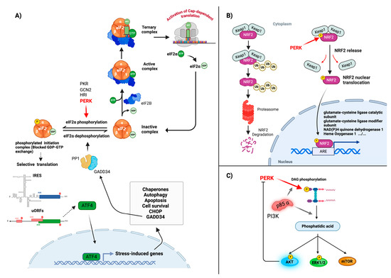 Biomolecules 15 00248 g002