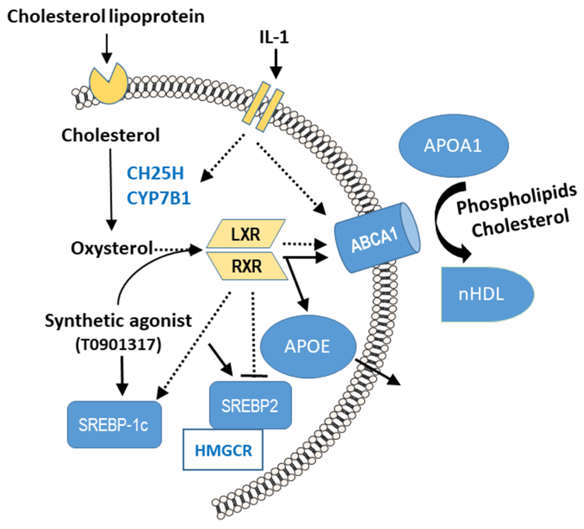 Biomolecules 15 00250 g001