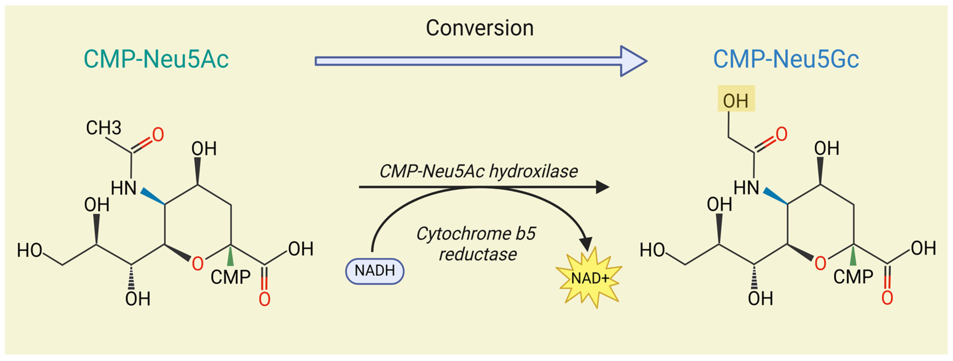 Biomolecules 15 00253 g001
