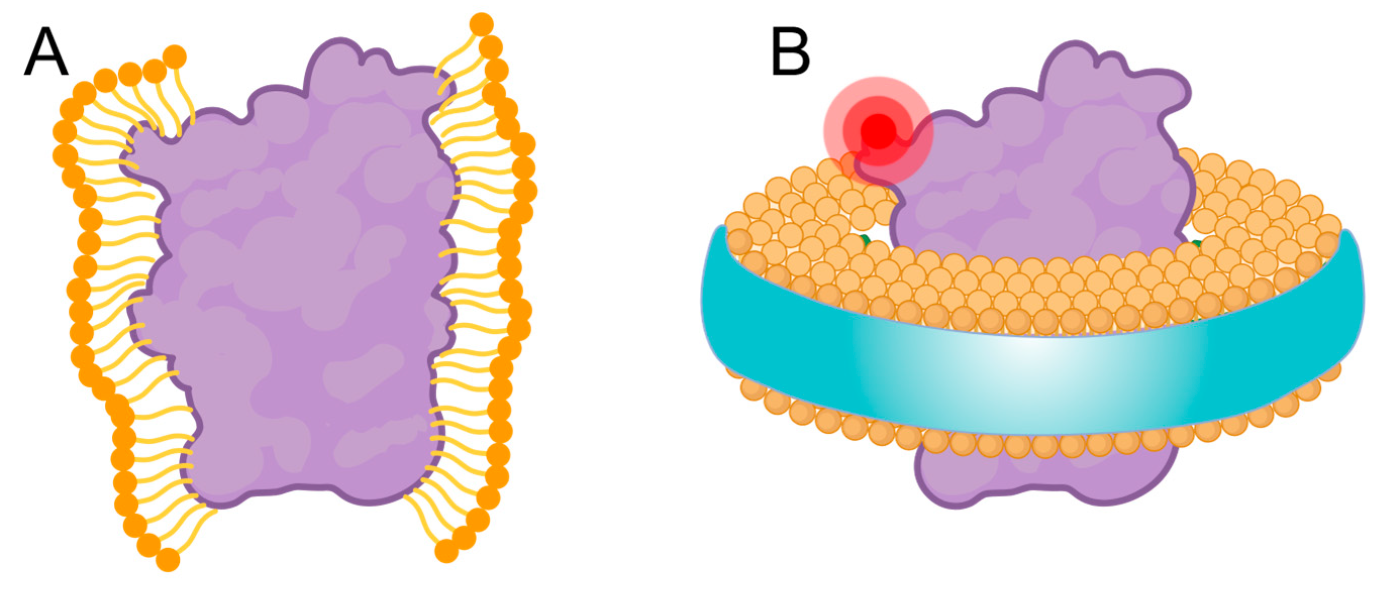 Biomolecules 15 00254 g007