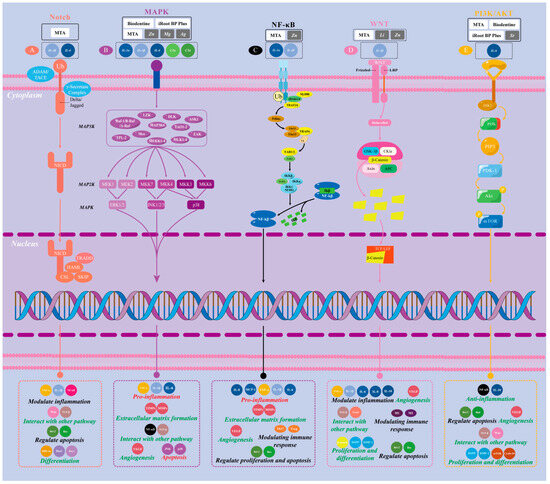 Biomolecules 15 00258 g002