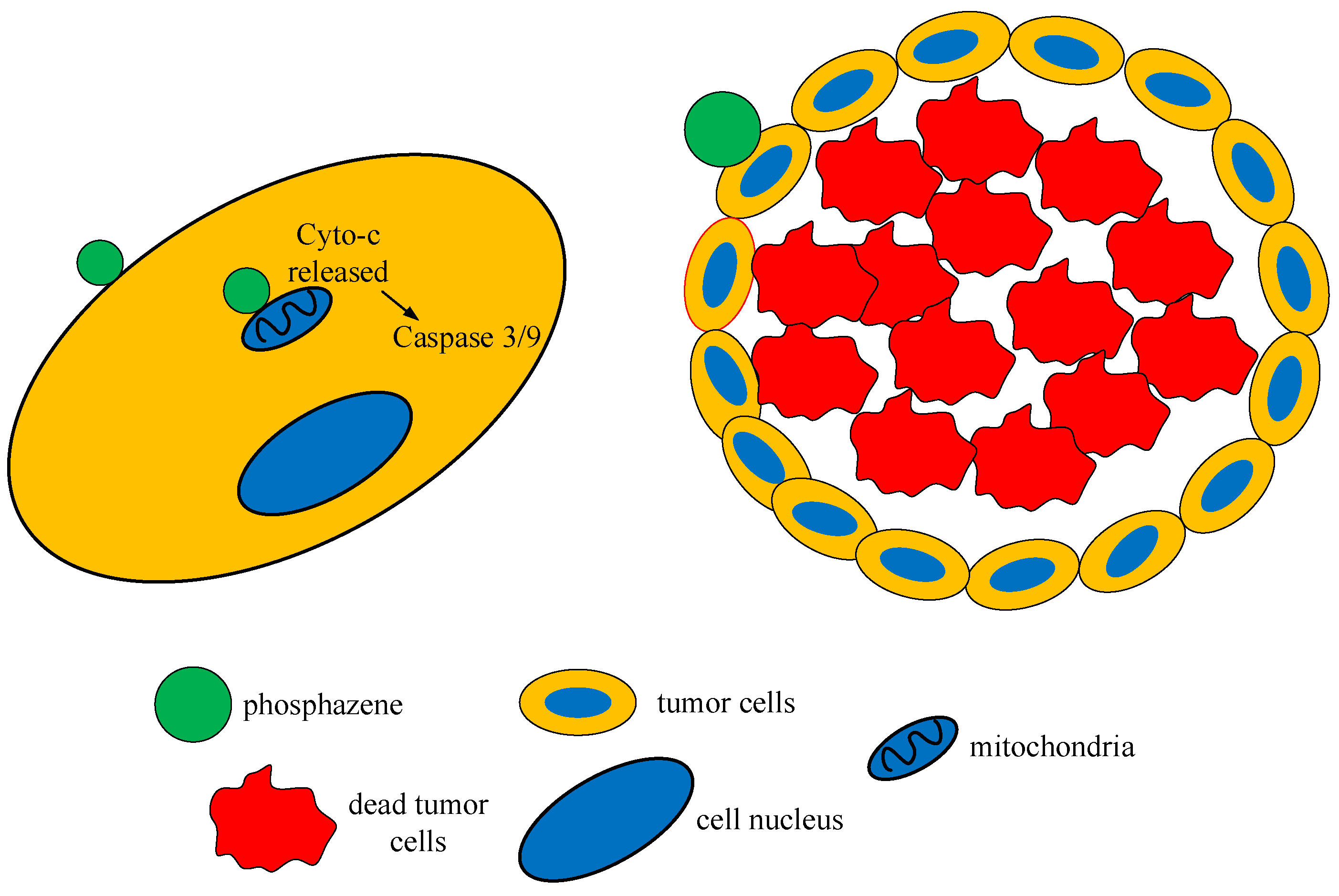 Biomolecules 15 00262 g011