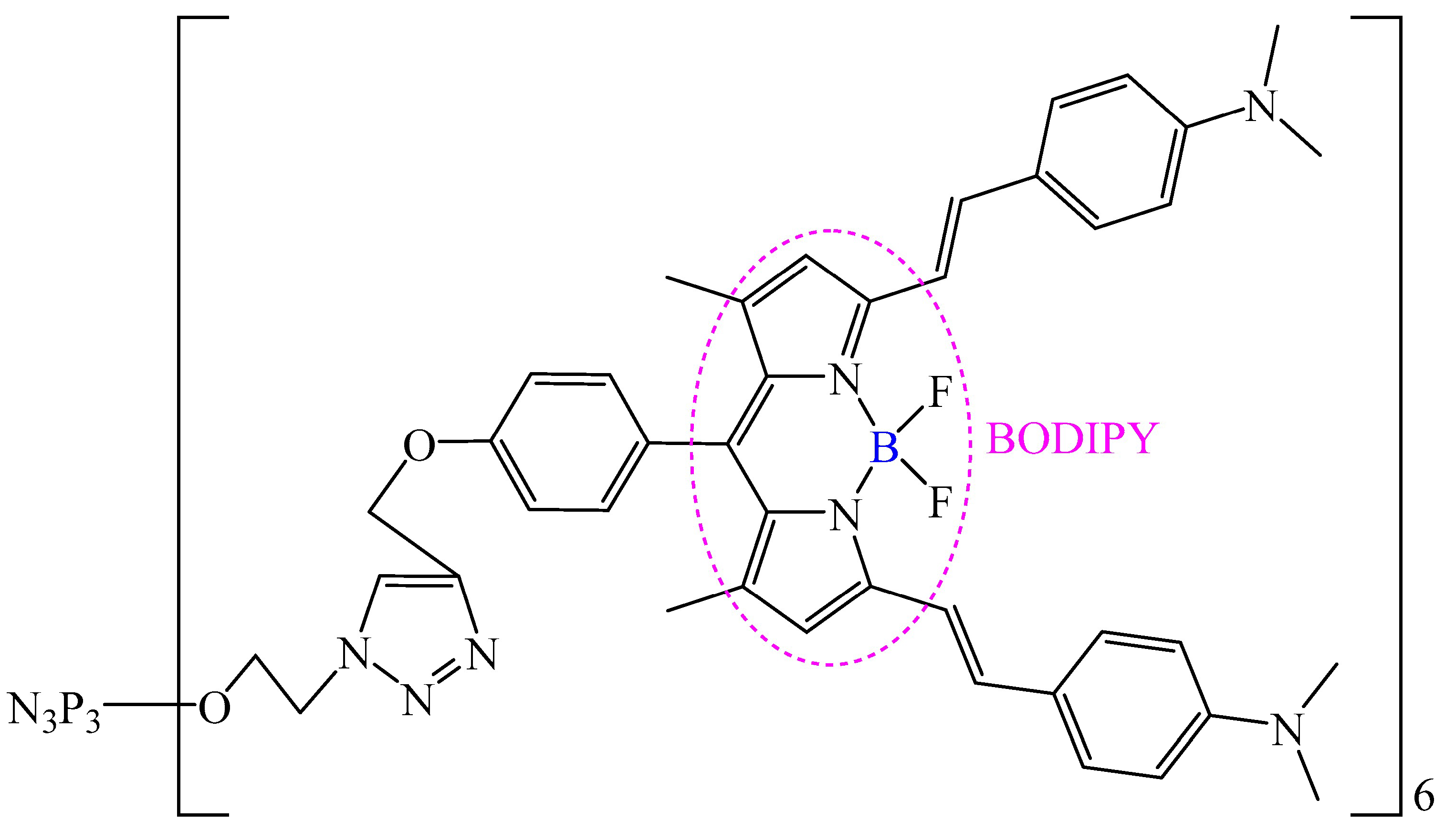 Biomolecules 15 00262 g021