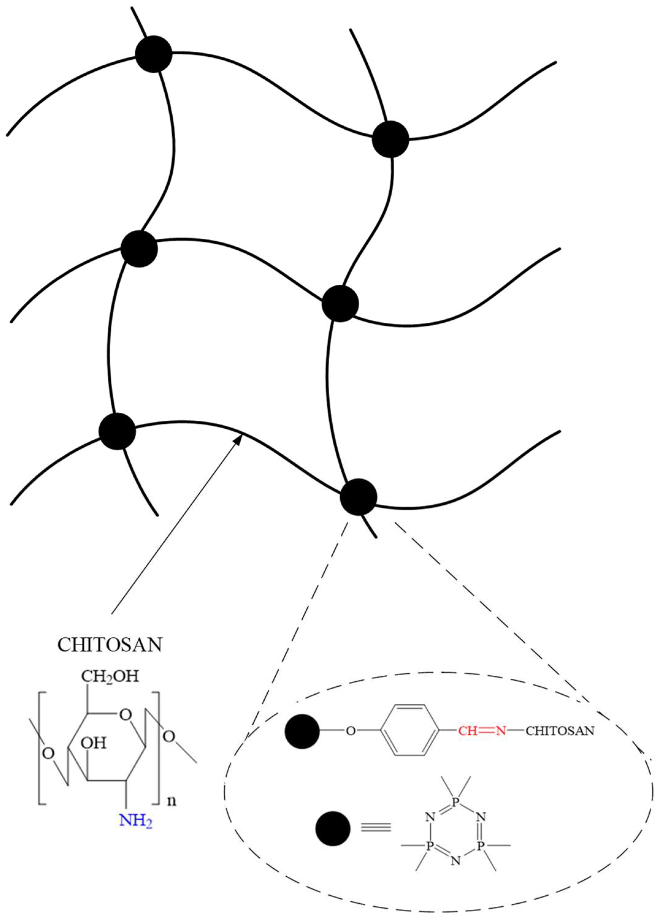 Biomolecules 15 00262 g027