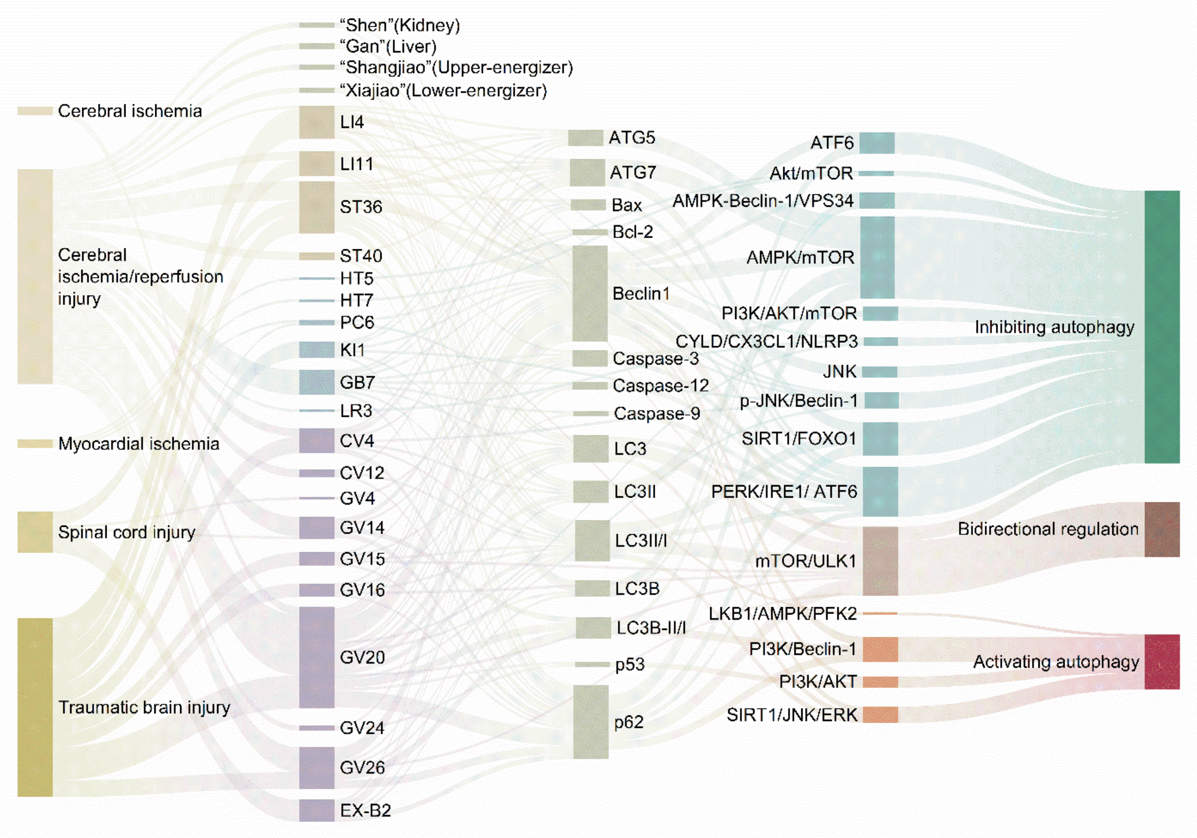 Biomolecules 15 00263 g006