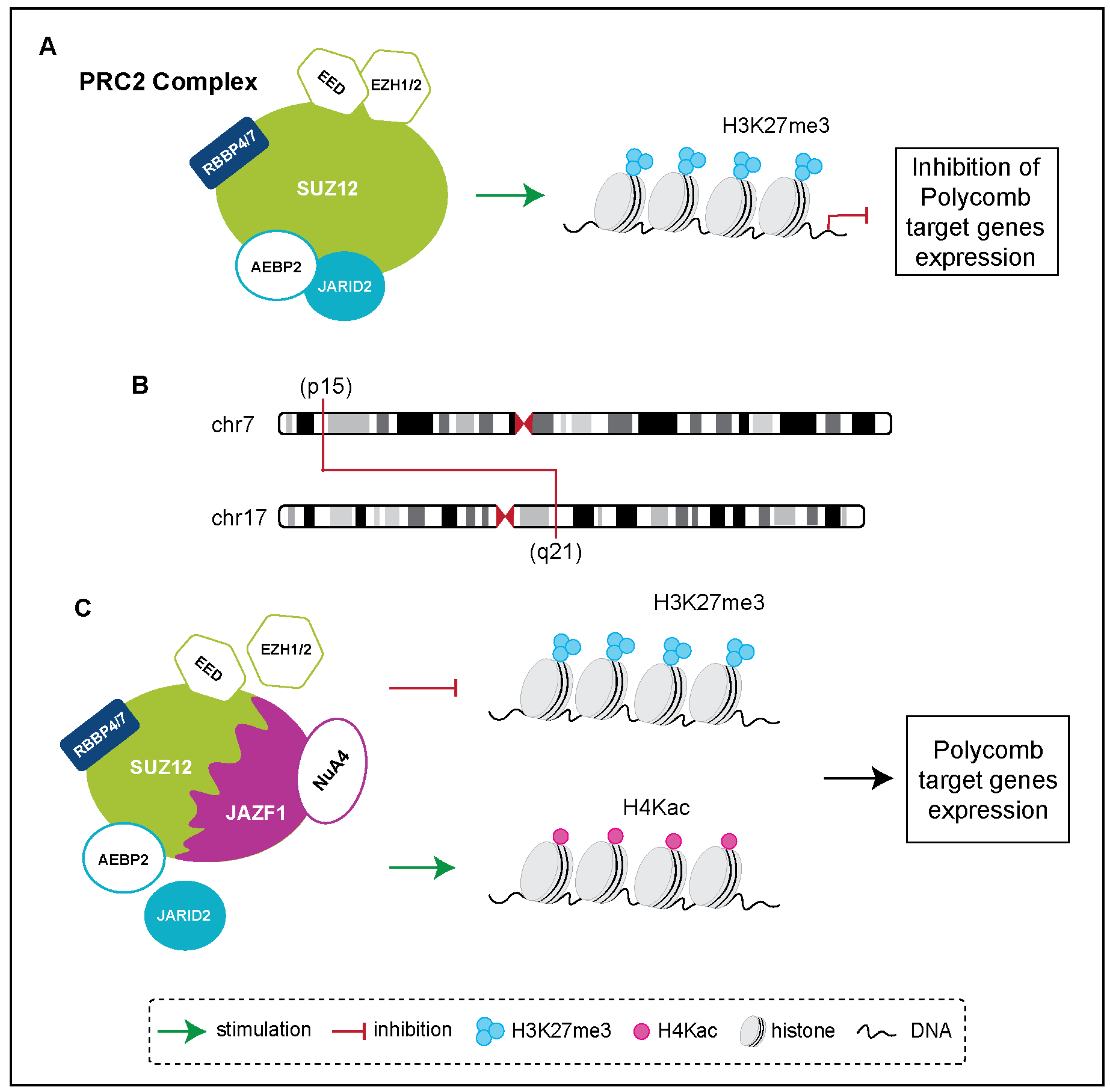 Biomolecules 15 00265 g003