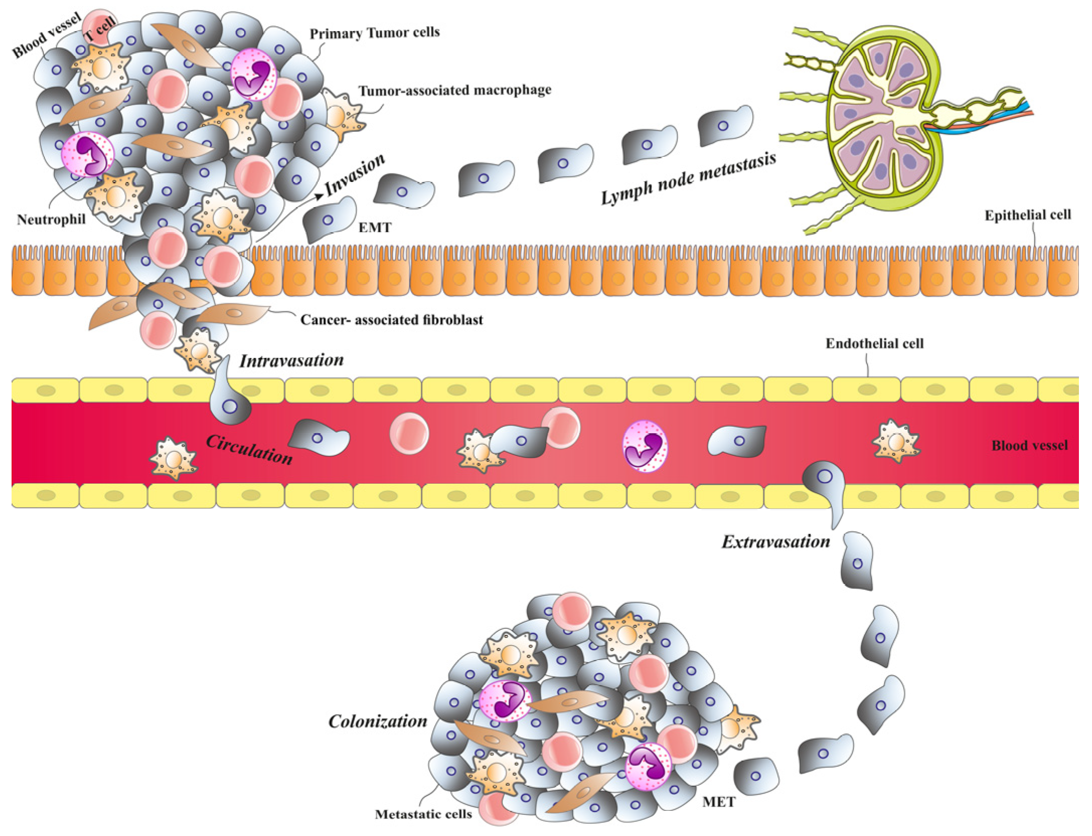 Biomolecules 15 00268 g001