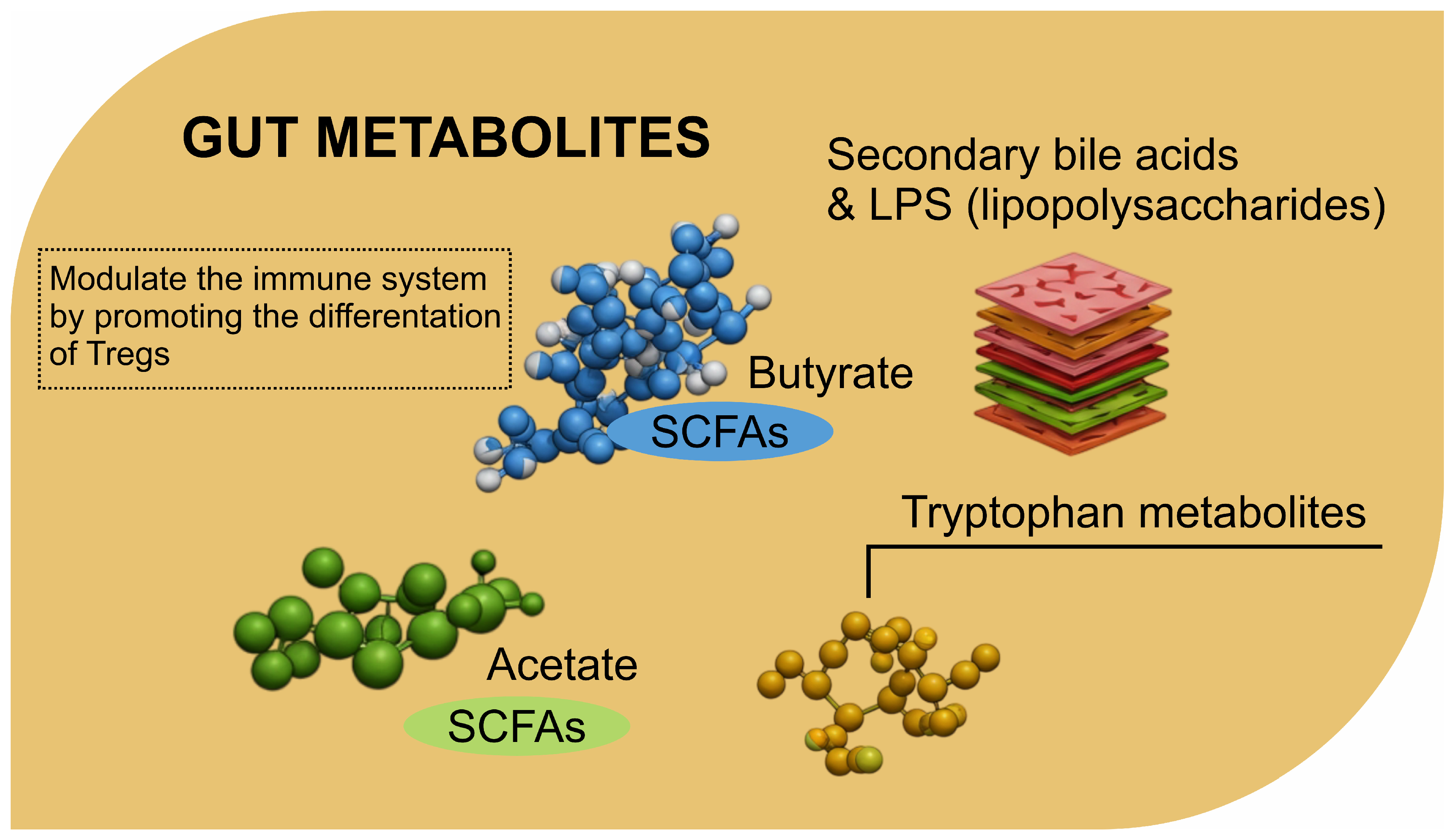 Biomolecules 15 00270 g001 Biomolecules 15 00270 g001