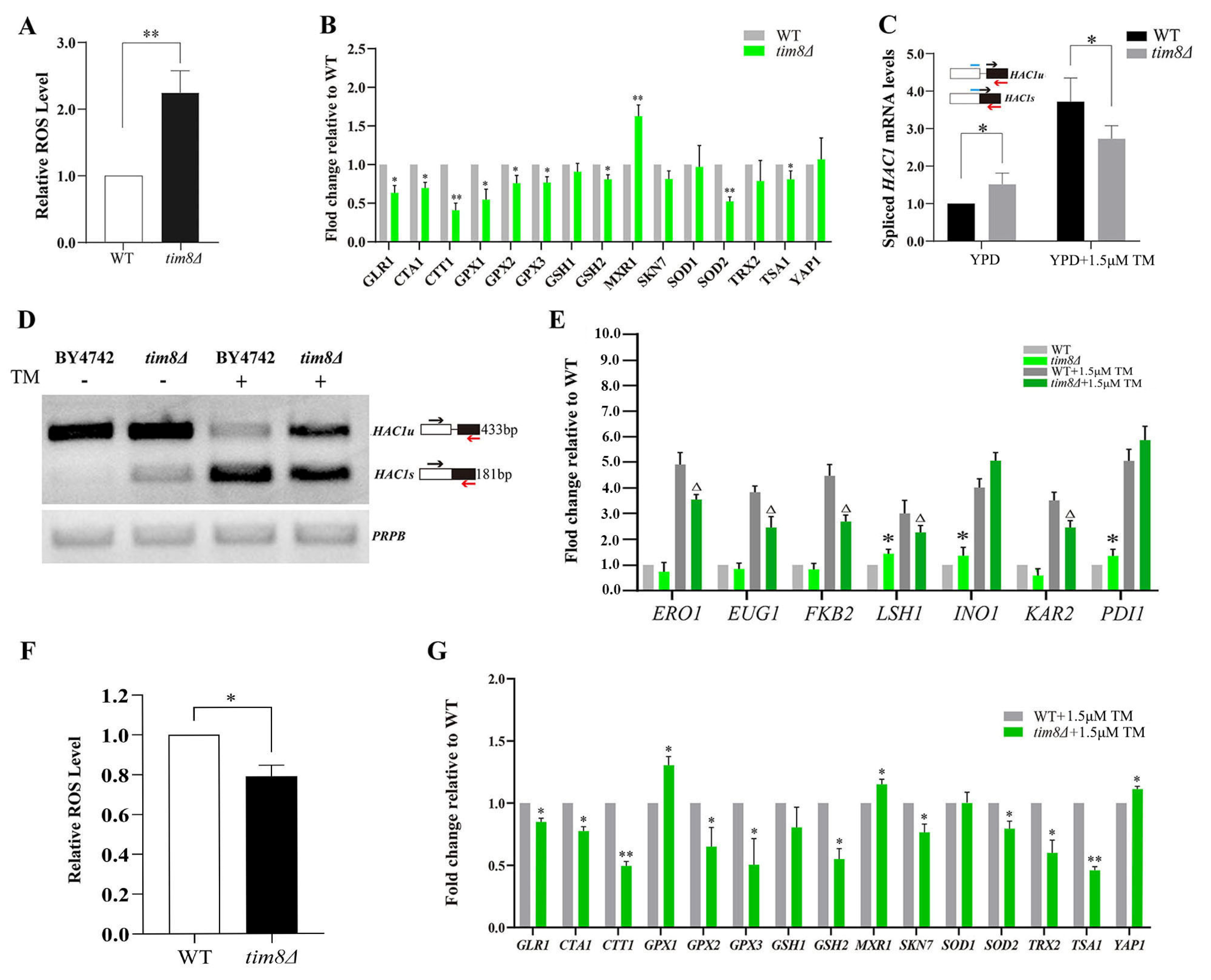 Biomolecules 15 00271 g002 Biomolecules 15 00271 g002