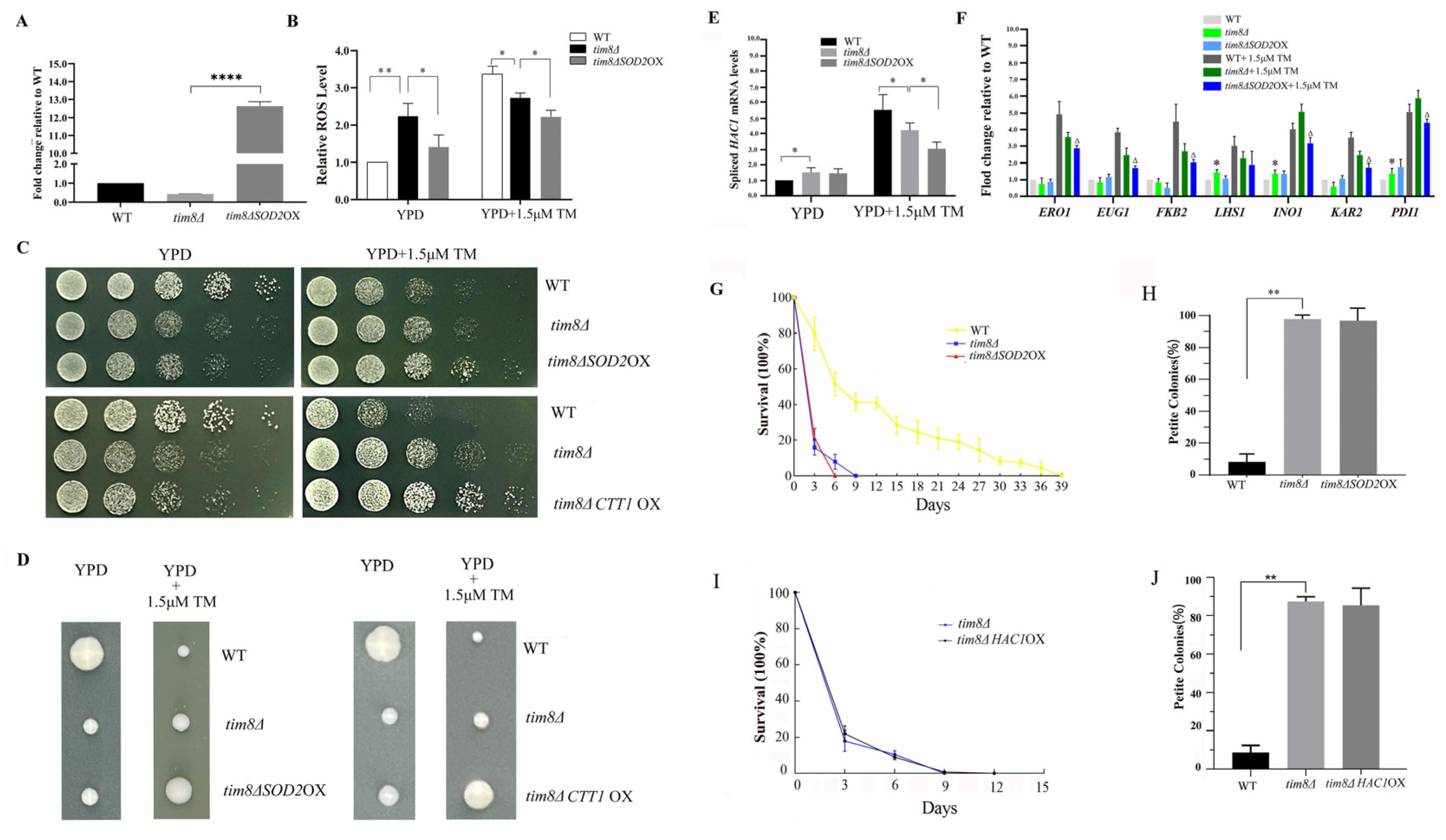 Biomolecules 15 00271 g005 Biomolecules 15 00271 g005