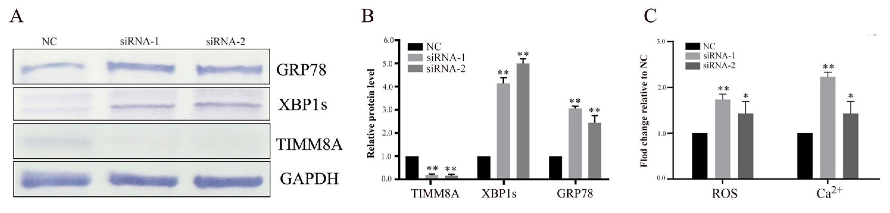 Biomolecules 15 00271 g006 Biomolecules 15 00271 g006
