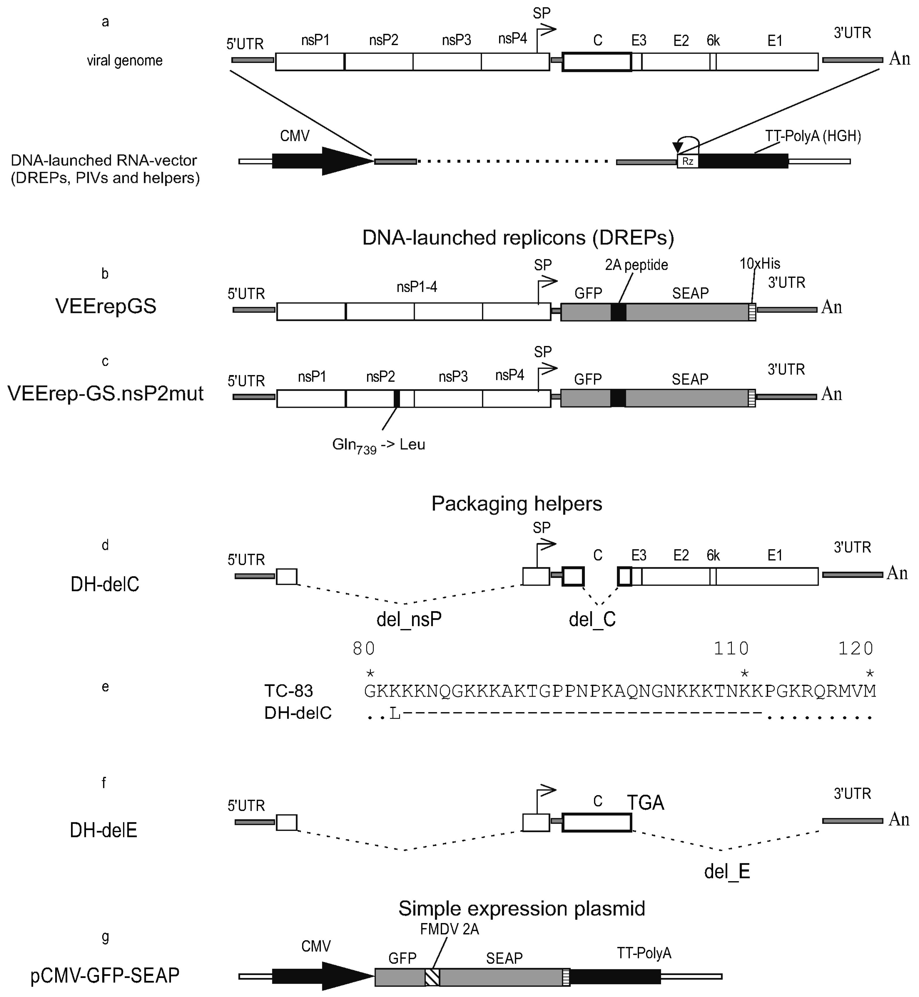 Biomolecules 15 00274 g001 Biomolecules 15 00274 g001