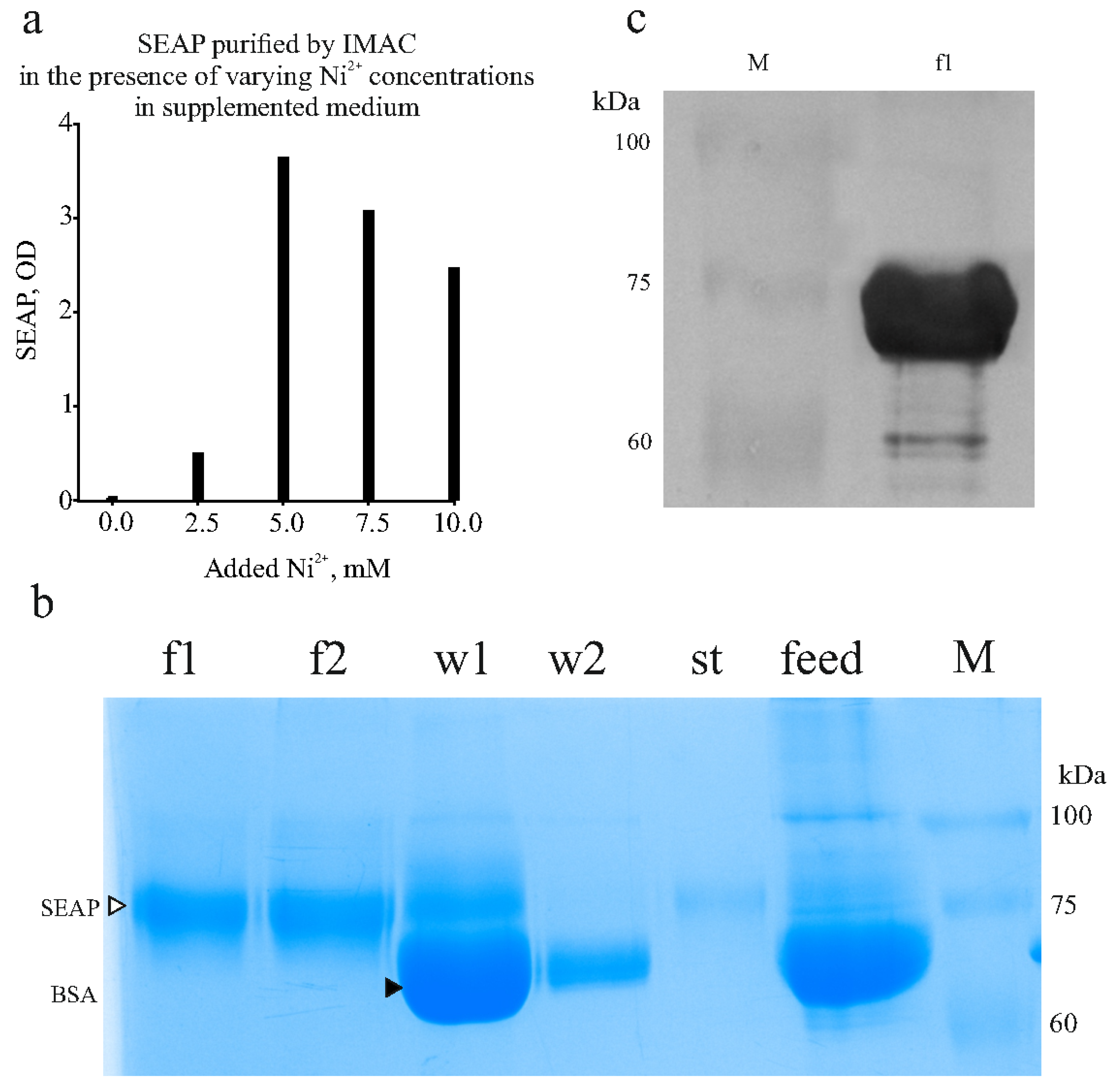 Biomolecules 15 00274 g007 Biomolecules 15 00274 g007