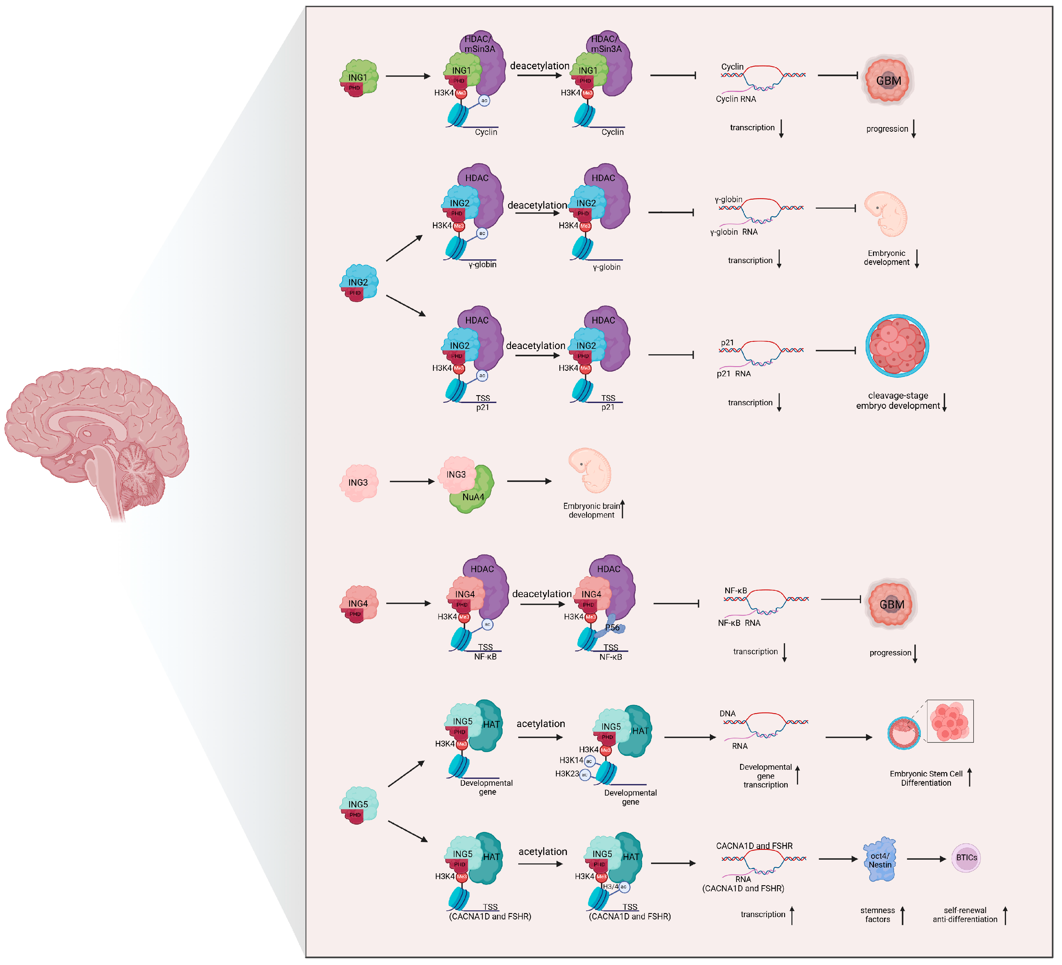 Biomolecules 15 00281 g002