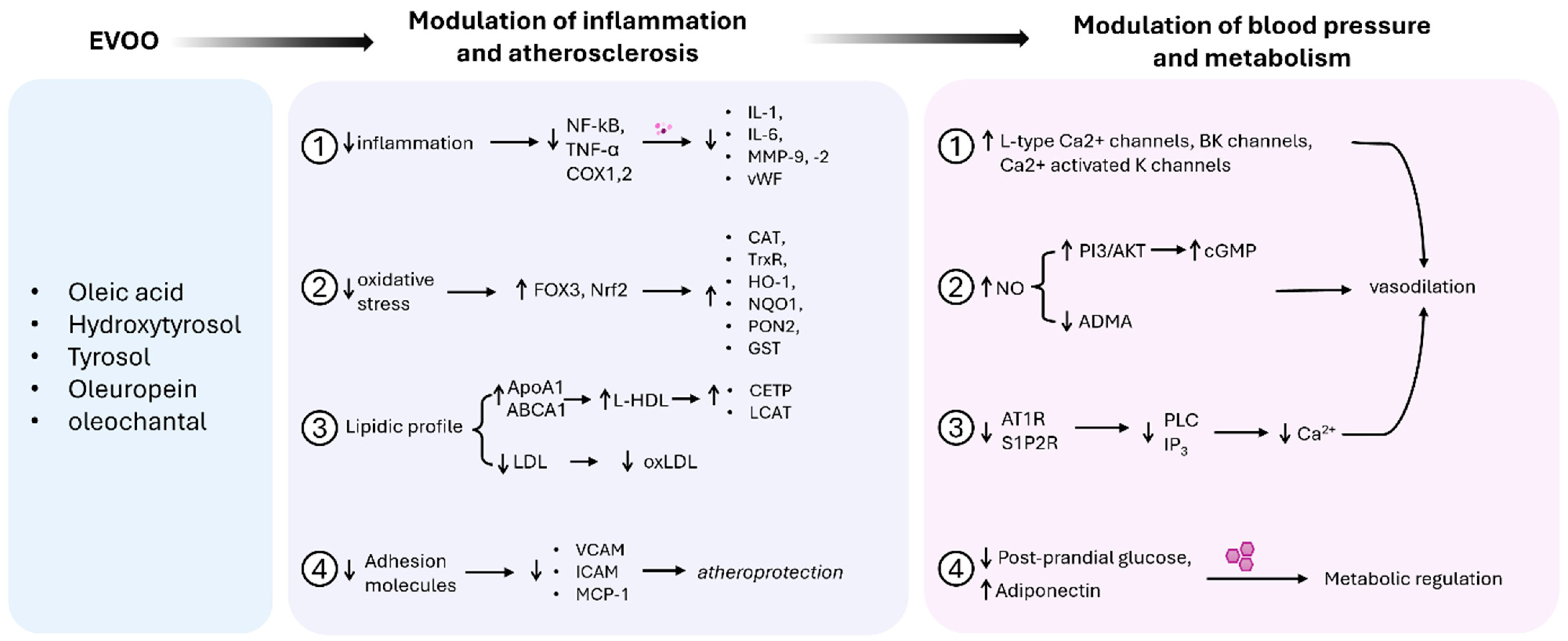 Biomolecules 15 00284 g002 Biomolecules 15 00284 g002