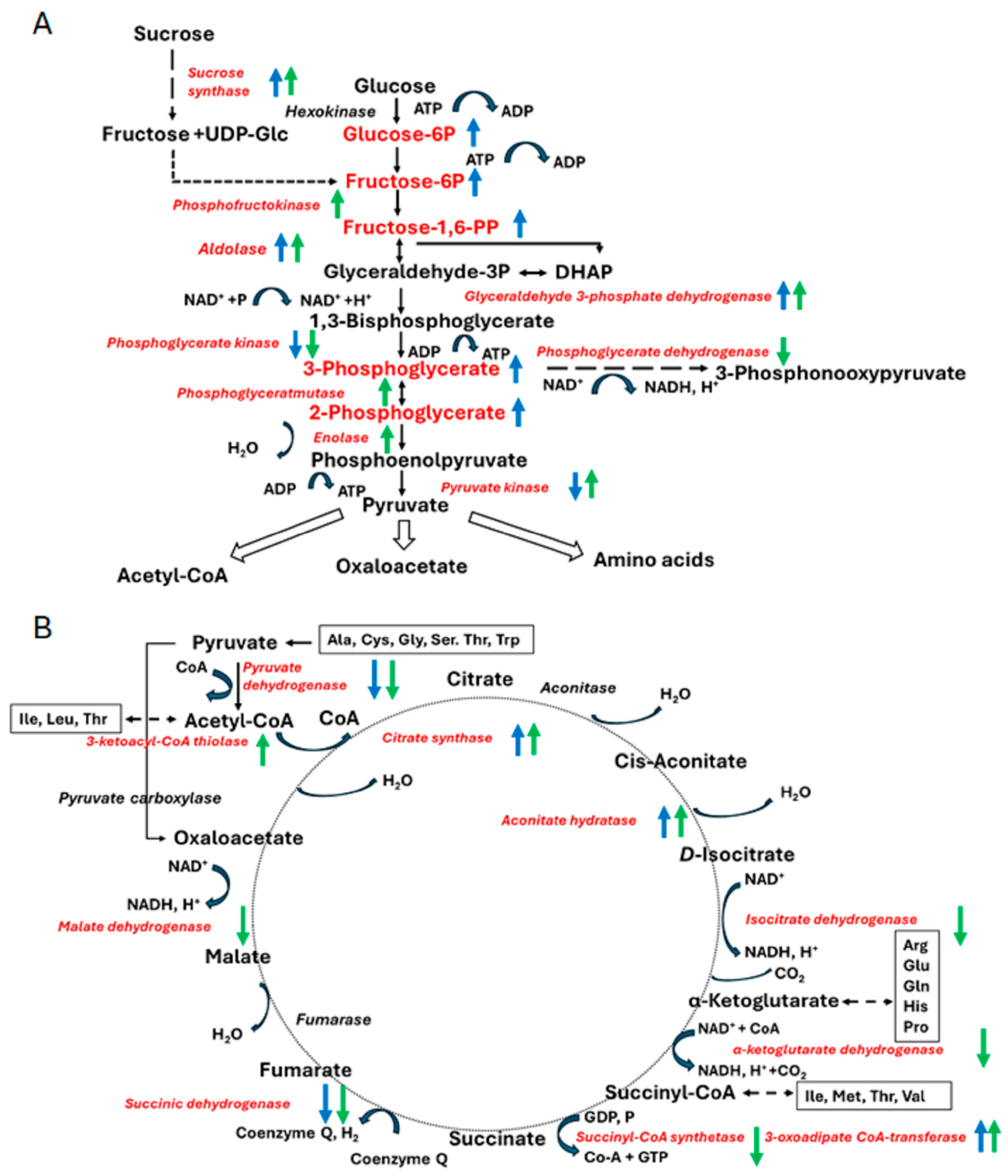 Biomolecules 15 00290 g008 Biomolecules 15 00290 g008