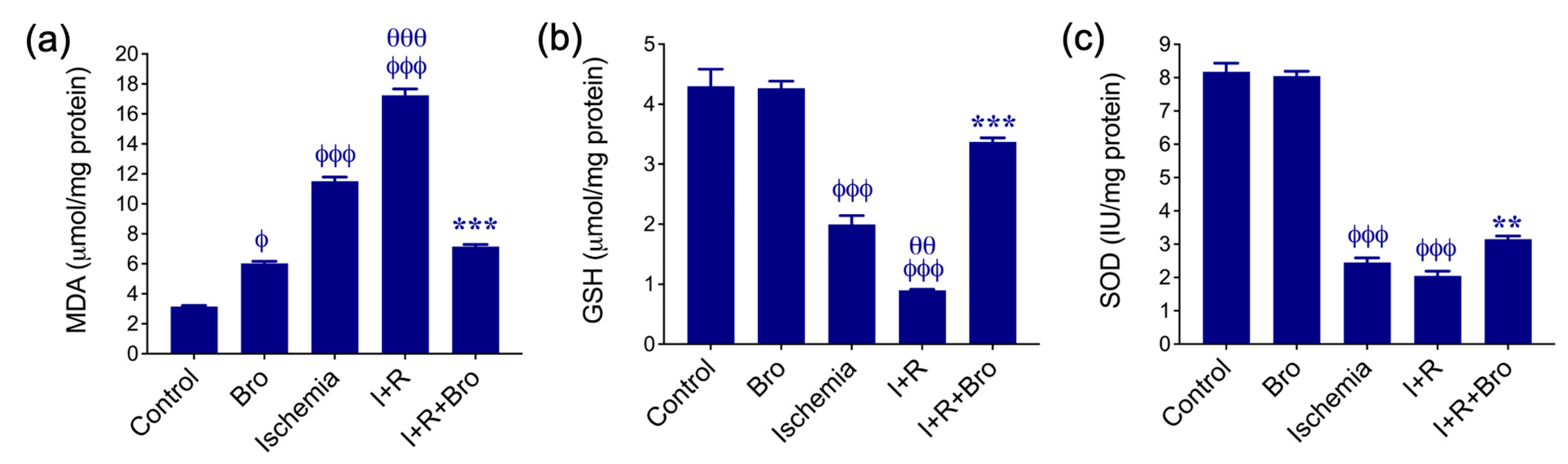 Biomolecules 15 00292 g001 Biomolecules 15 00292 g001