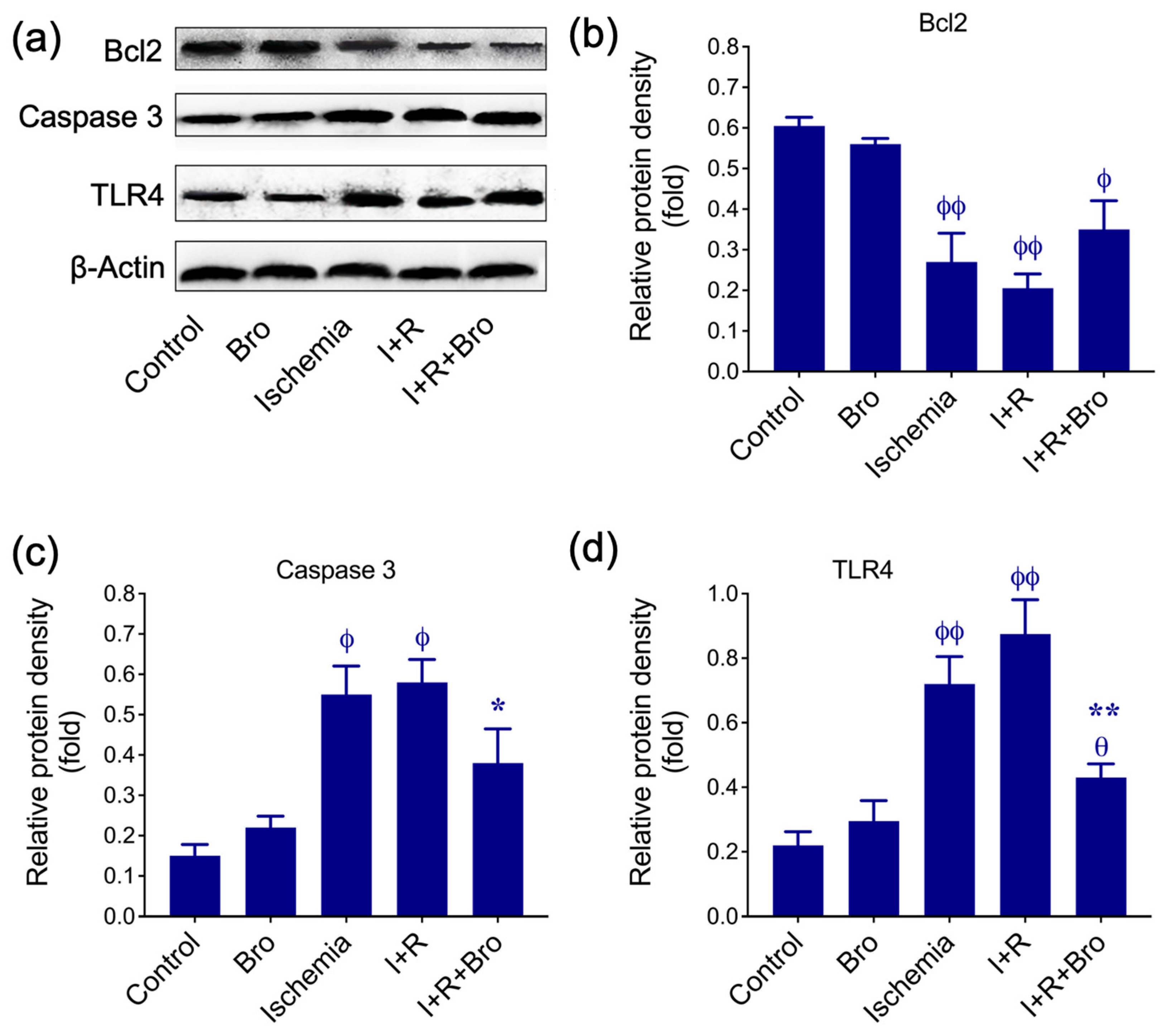 Biomolecules 15 00292 g003 Biomolecules 15 00292 g003