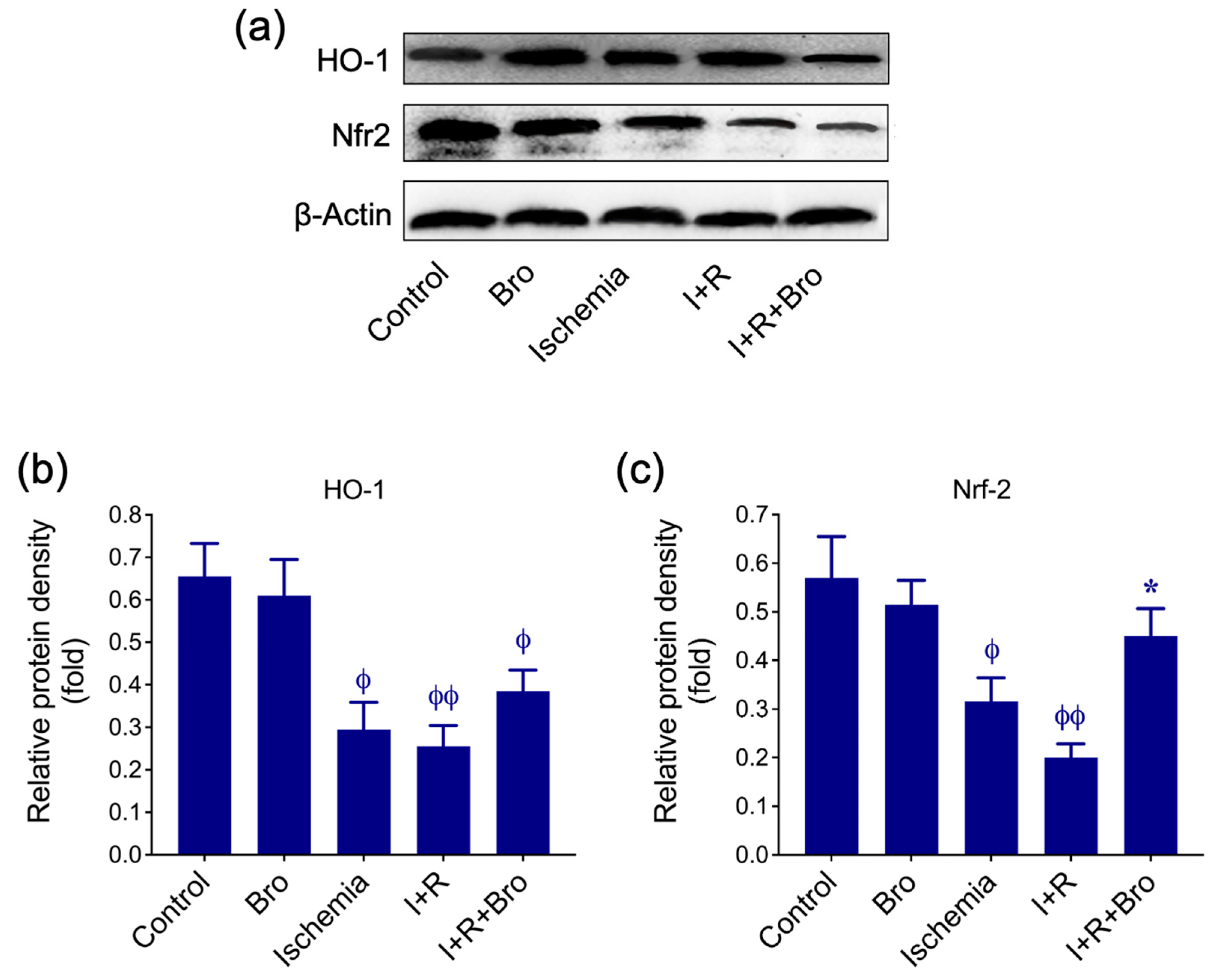 Biomolecules 15 00292 g004 Biomolecules 15 00292 g004