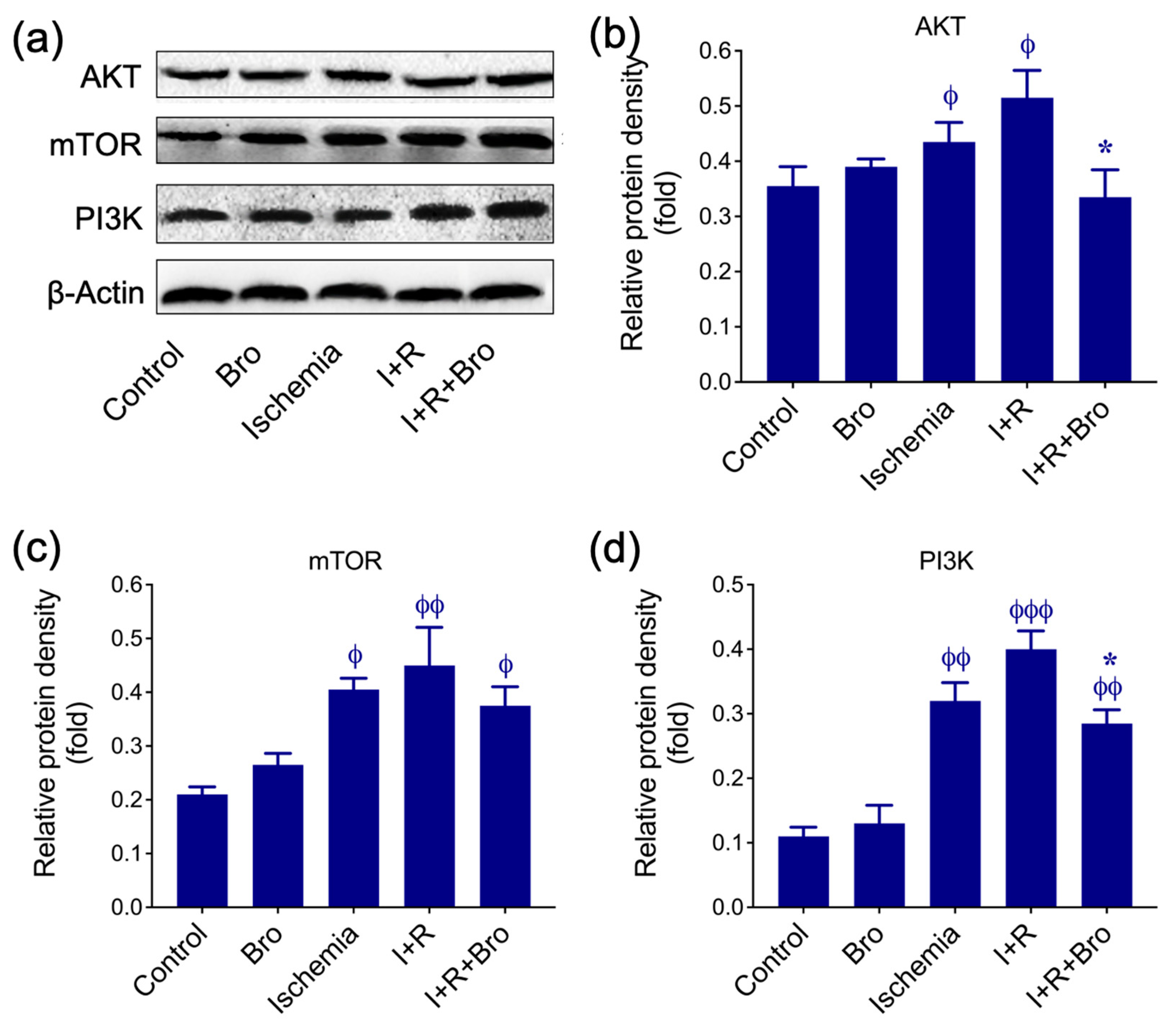 Biomolecules 15 00292 g005 Biomolecules 15 00292 g005
