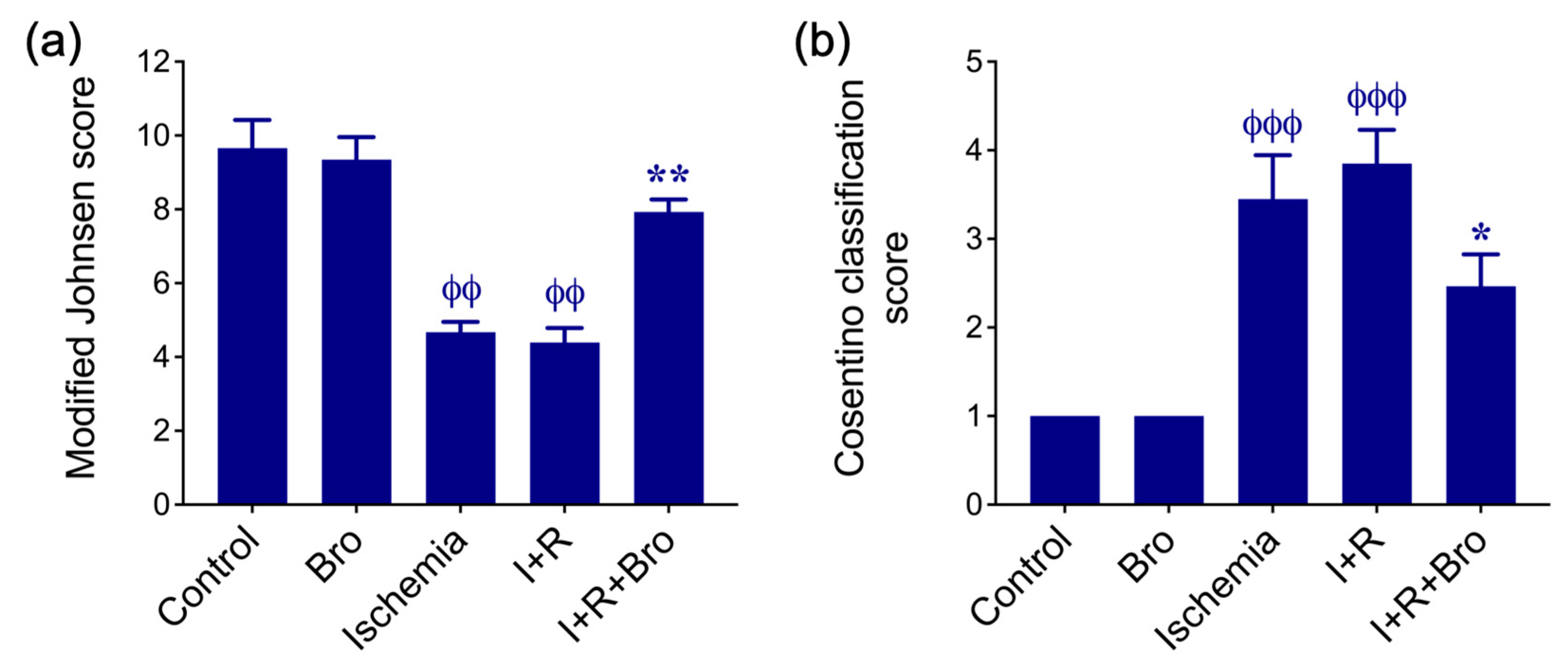 Biomolecules 15 00292 g007 Biomolecules 15 00292 g007
